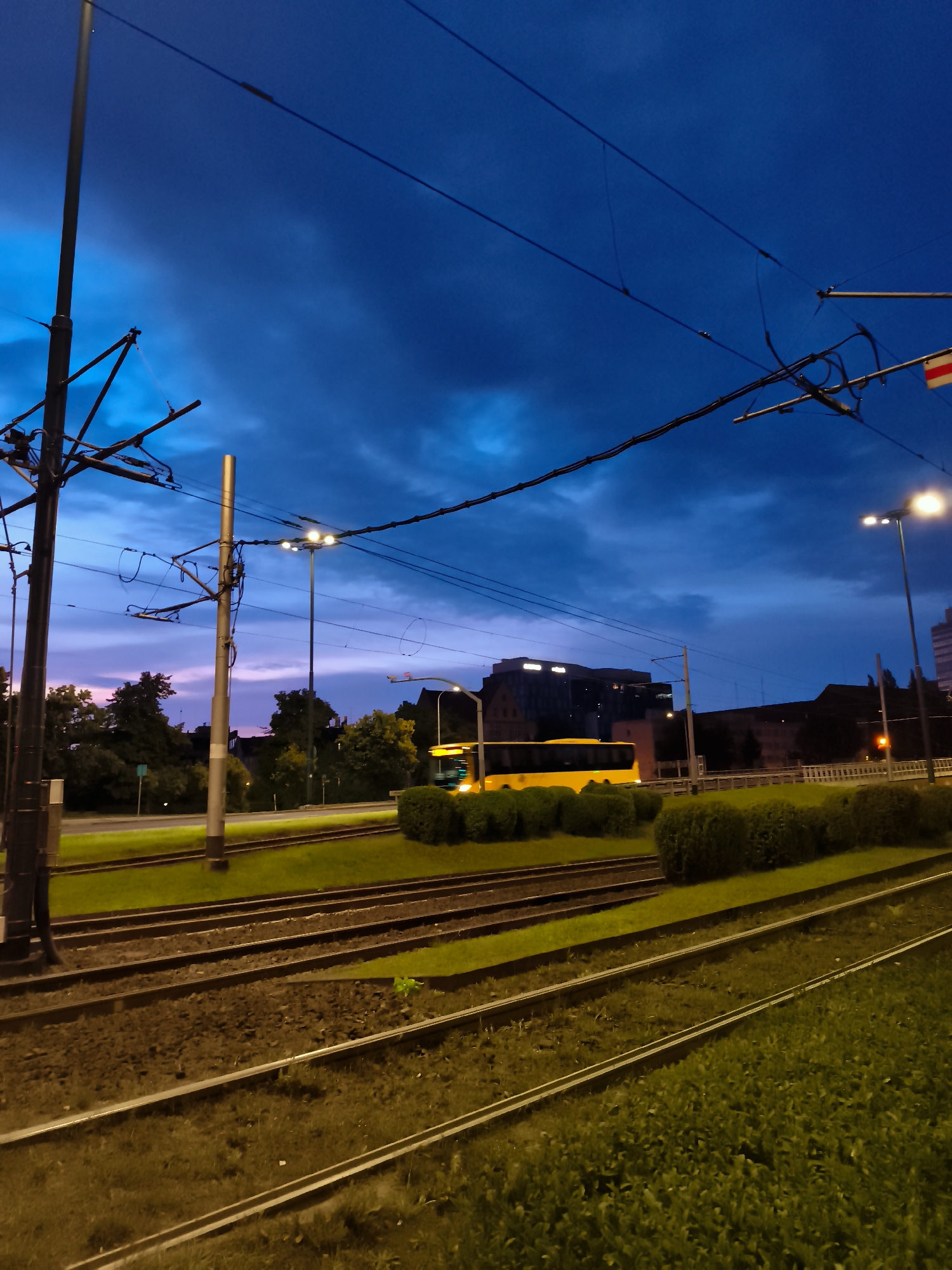 The image depicts a tram line in Gdańsk, Poland, during twilight. The sky is a deep blue with dark clouds, transitioning to lighter hues of purple and pink near the horizon. Overhead, a complex network of tram wires and poles dominates the upper portion of the frame.
In the mid-ground, a yellow bus is visible on a road parallel to the tram tracks. The bus has its headlights on, illuminating the surroundings. Several streetlights along the road are also illuminated. Lush green bushes line the area between the road and the tram tracks.
The foreground is occupied by multiple sets of tram tracks, running parallel to each other. The tracks are laid on ballast and surrounded by grass. Some of the grass appears to be illuminated by artificial light, giving it a yellowish cast. The overall impression is of a typical urban scene at the end of the day. There are no people visible in the image.