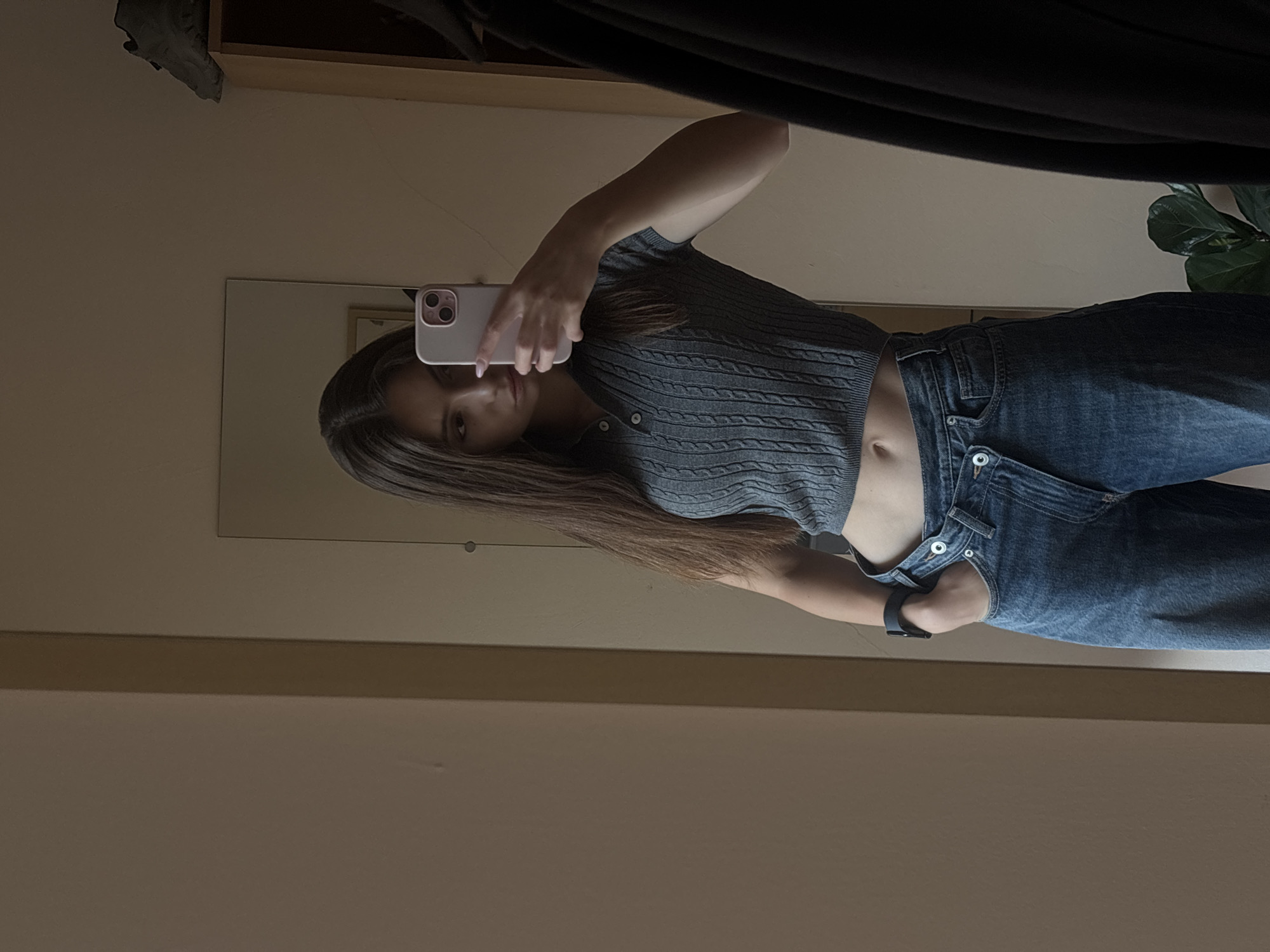 This is a vertical, full-body mirror selfie of a young woman indoors. She is wearing a gray, short-sleeved, cable-knit crop top and blue denim jeans. The outfit exposes her midriff. The background appears to be a bedroom or dressing area, with a closet visible at the top and a large mirror reflecting the scene. A houseplant is partially visible on the right side of the frame. The lighting suggests it is daytime, possibly late afternoon, given the soft, ambient light. The woman is holding a smartphone, its pink case partially obscuring her face as she takes the photo. Her expression is neutral, and she is looking towards the camera in the mirror. There are no visible signs of text in the image. The scene appears casual and relaxed.