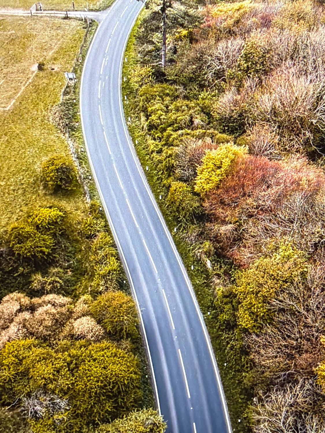 This is an aerial, high-angle shot of a paved, two-lane road curving through a landscape of low-lying, dense vegetation and trees. The road has white dashed lines marking the lanes. The vegetation is predominantly shades of green and yellow, with some areas of brown and reddish-brown. The scene appears to be rural, with no buildings or significant man-made structures visible in the immediate vicinity of the road, except for what appears to be a section of low stone wall and some wooden posts on the left side of the road in the distance. The image does not depict the city of Kafr Yasif, Israel.