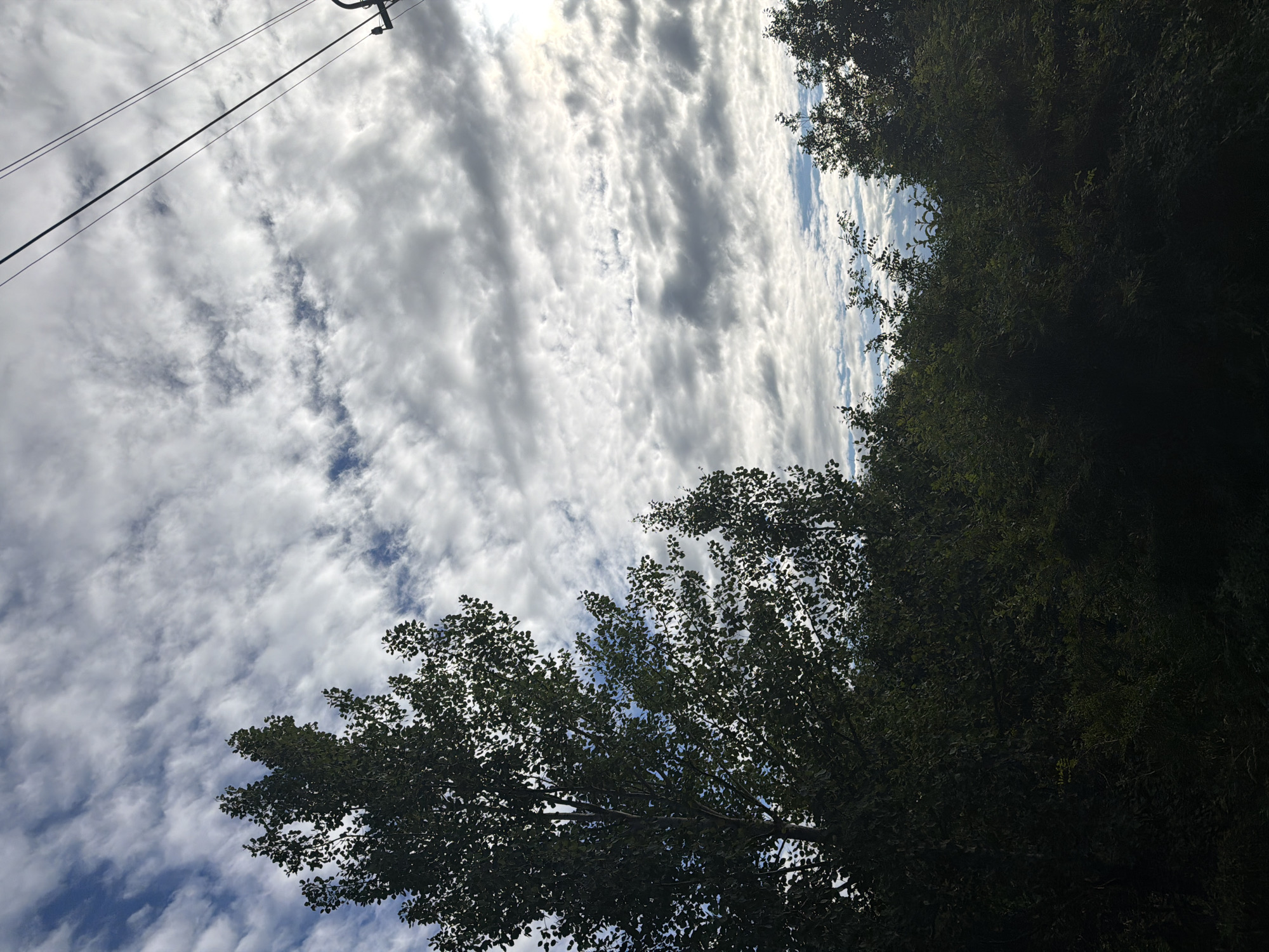The image captures a view looking up through trees towards a cloudy sky. The foreground is dominated by the dark silhouettes of lush green trees, with their branches and leaves forming a dense canopy. The sky above is filled with a mix of white and gray clouds, interspersed with patches of bright blue sky, suggesting a partly cloudy day. The sunlight filters through the clouds, creating a bright, diffused illumination.
On the left side of the frame, thin, dark lines stretch diagonally across the sky, indicating power lines or telephone wires. These lines converge towards the top left corner, where a small part of a utility pole is visible.
The overall scene suggests an outdoor setting, likely a park or a forested area, in Moshenskoe, Russia. The time of day appears to be daytime, given the bright sky. There are no people or specific events depicted, just the natural elements of trees and sky. The mood is serene and naturalistic, focusing on the interplay of light and shadow, and the vastness of the sky contrasted with the foliage. No text is visible in the image.
