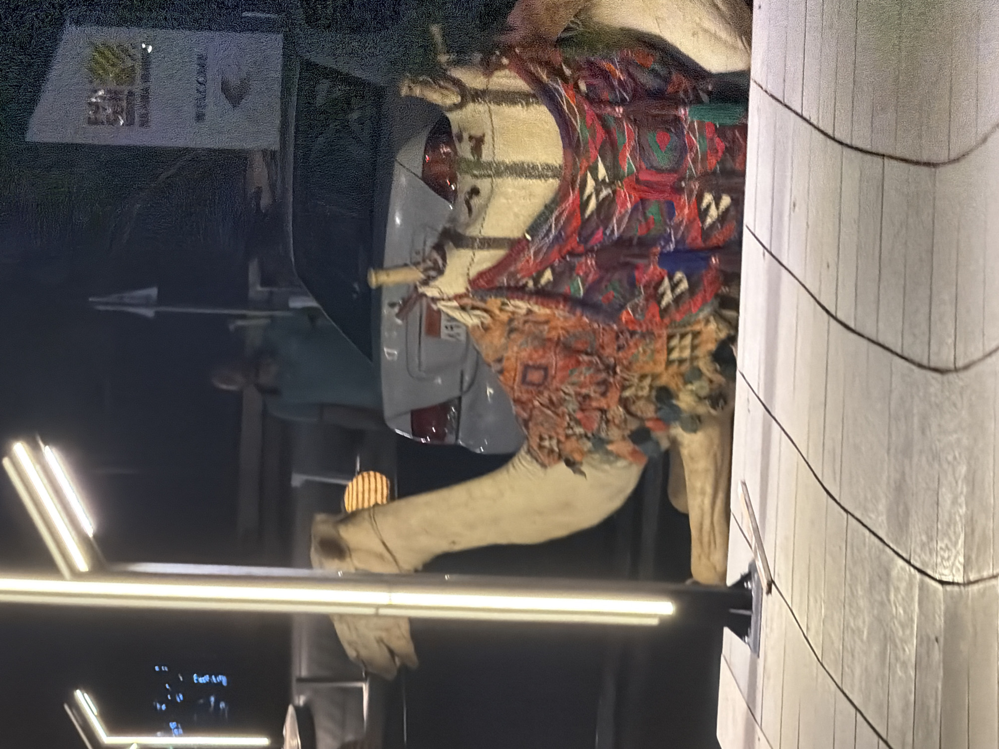 The image depicts a camel adorned with a vibrant, patterned blanket, likely part of a tourist attraction or cultural display. The camel is positioned in front of a modern building with a textured facade, suggesting an urban or resort setting. The scene is illuminated by artificial lights, indicating it is nighttime.
In the background, a white car is visible, and a sign that reads "WELCOME" can be seen on a dark surface. The camel's long neck and hump are prominent, with its legs also visible. The blanket is intricately designed with geometric patterns in various colors, including red, blue, green, and beige.
The lighting creates a slight glare on the reflective surfaces and highlights the texture of the building. The overall impression is that of a lively tourist destination, possibly in Sharm El Sheikh, Egypt, where such camel encounters are common for visitors. The image captures a moment of leisure and cultural experience, likely for tourists engaging with the local environment.
