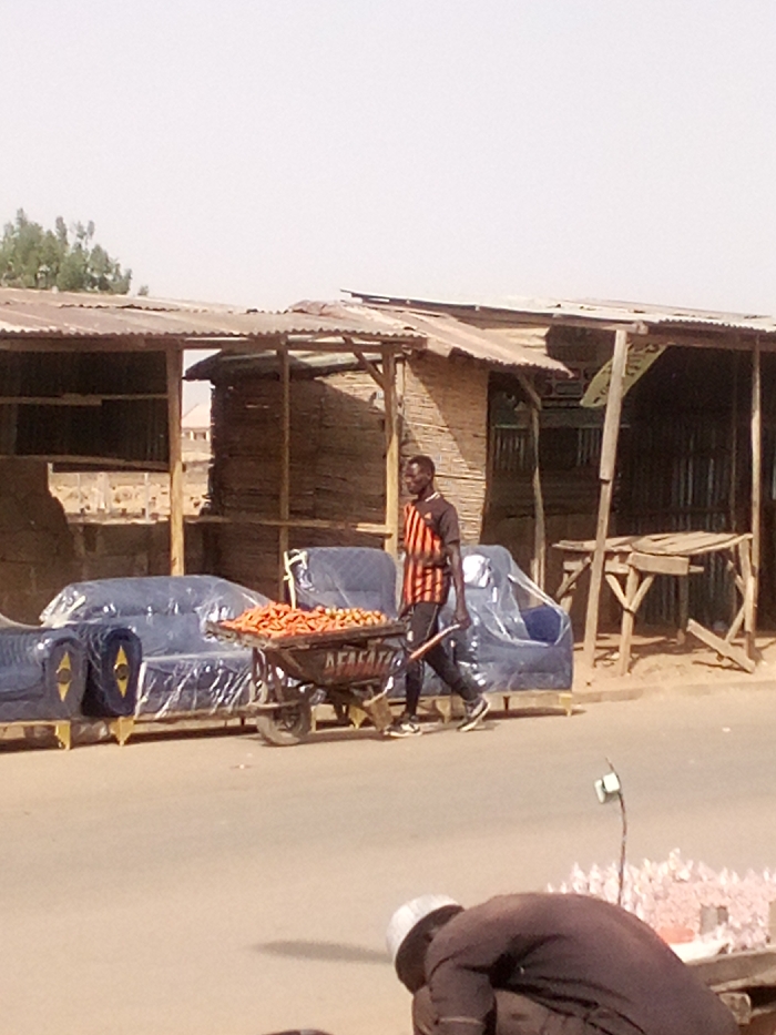 The image depicts a street scene in Tudun Murtala, Nigeria, under a clear sky. In the midground, an adult male with dark skin and a short haircut is walking from left to right, pushing a single-wheeled cart (wheelbarrow) filled with numerous orange vegetables, likely carrots. He is wearing a short-sleeved t-shirt with orange and black vertical stripes, dark trousers, and sneakers. The wheelbarrow has "AFAFAFA" inscribed on its side in white or light-colored text.
Behind him, several open-fronted stalls or shops line the right side of the street. These structures are constructed with wooden frames, corrugated metal roofs, and walls made of what appears to be woven bamboo or reeds. To the left of the walking man, within one of these stalls, multiple blue upholstered furniture pieces, resembling sofas and armchairs, are visible. They are individually wrapped in clear plastic sheeting. Further to the right, another stall features a simple wooden table.
In the lower foreground, partially obscured, an individual wearing a dark garment and a light-colored cap is seen crouching or bending over, facing away from the viewer. To their right, several clear plastic bottles containing a pink liquid are arranged on the ground. The ground surface is a light-colored paved road or dirt path.
