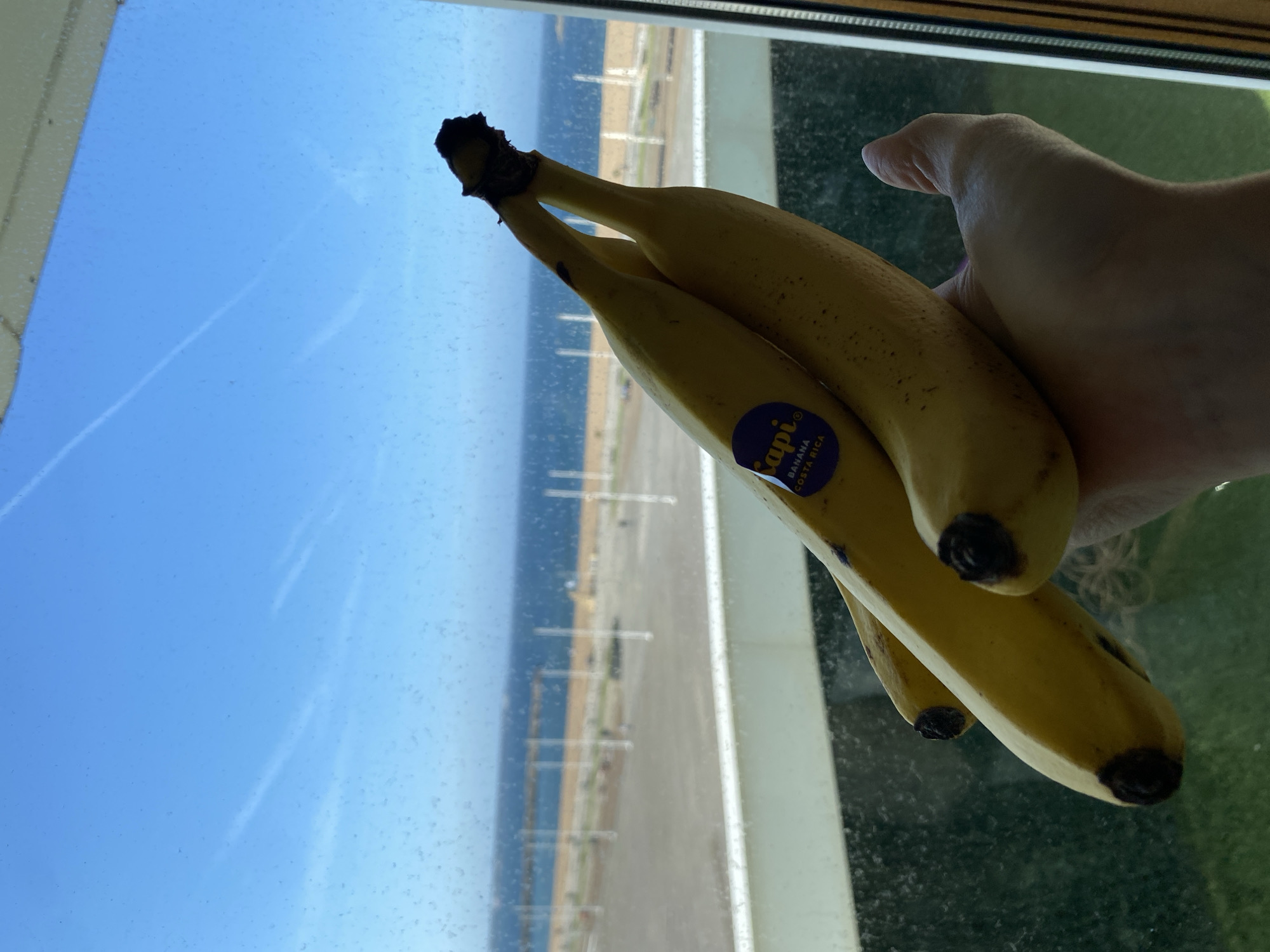A hand holds three ripe bananas against the backdrop of a window. Through the glass, a coastal scene is visible: a blue sky and body of water meet at the horizon, and a shoreline runs parallel to the water, with vertical posts lining the coast. The window frame is visible. The banana closest to the viewer bears a "Tapi" banana sticker. The location is inferred to be Gijón/Xixón, Spain, based on the landscape visible through the window.