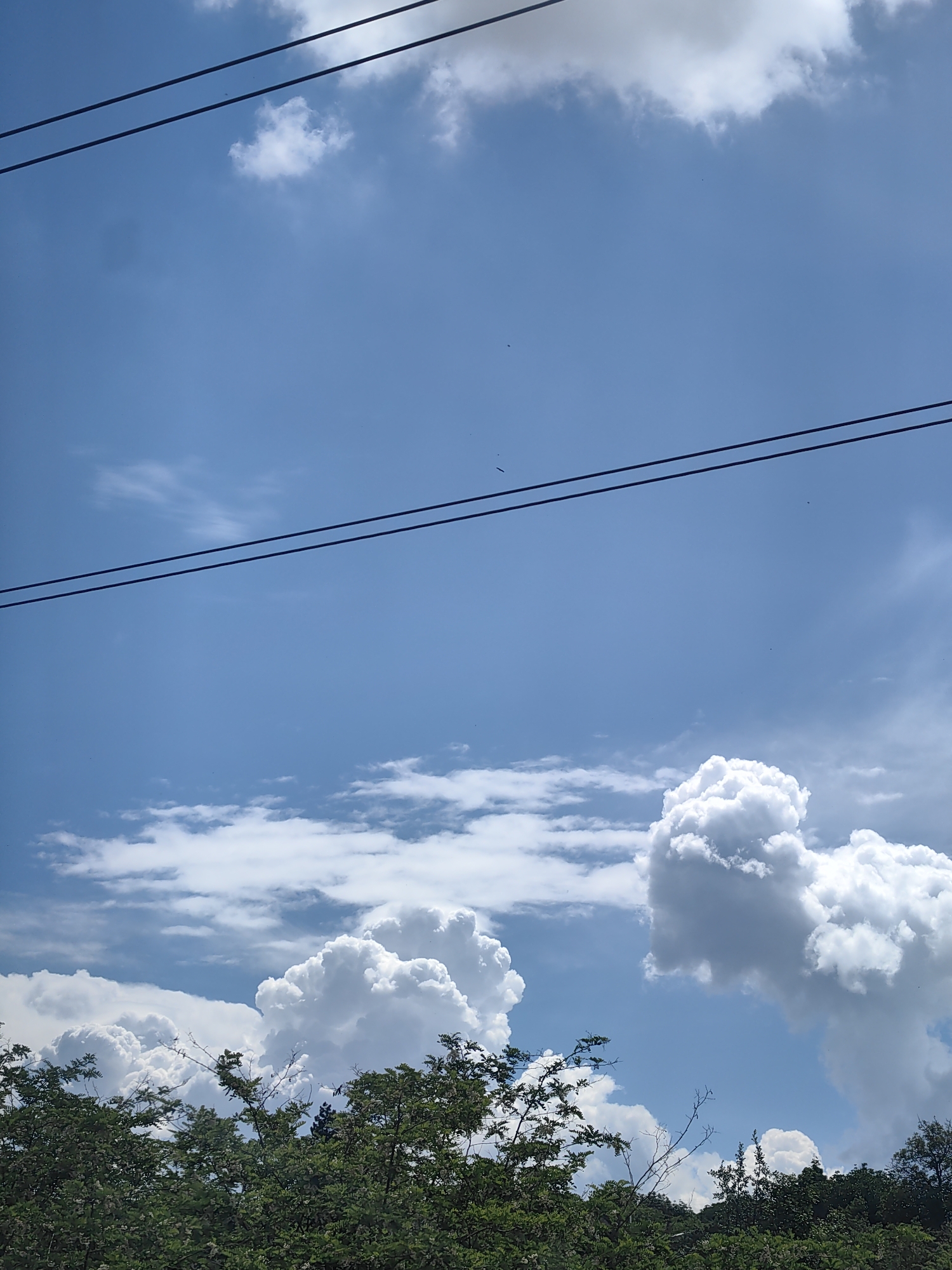 The image captures a bright, daytime outdoor scene with a clear blue sky punctuated by fluffy white cumulus clouds. Two dark power lines stretch horizontally across the upper portion of the frame. The lower section of the image is dominated by the dense green foliage of trees and bushes. No people or specific structures are visible. The environment appears natural and somewhat wild, suggesting a location in the countryside of Ароматновское сельское поселение, Ukraine.