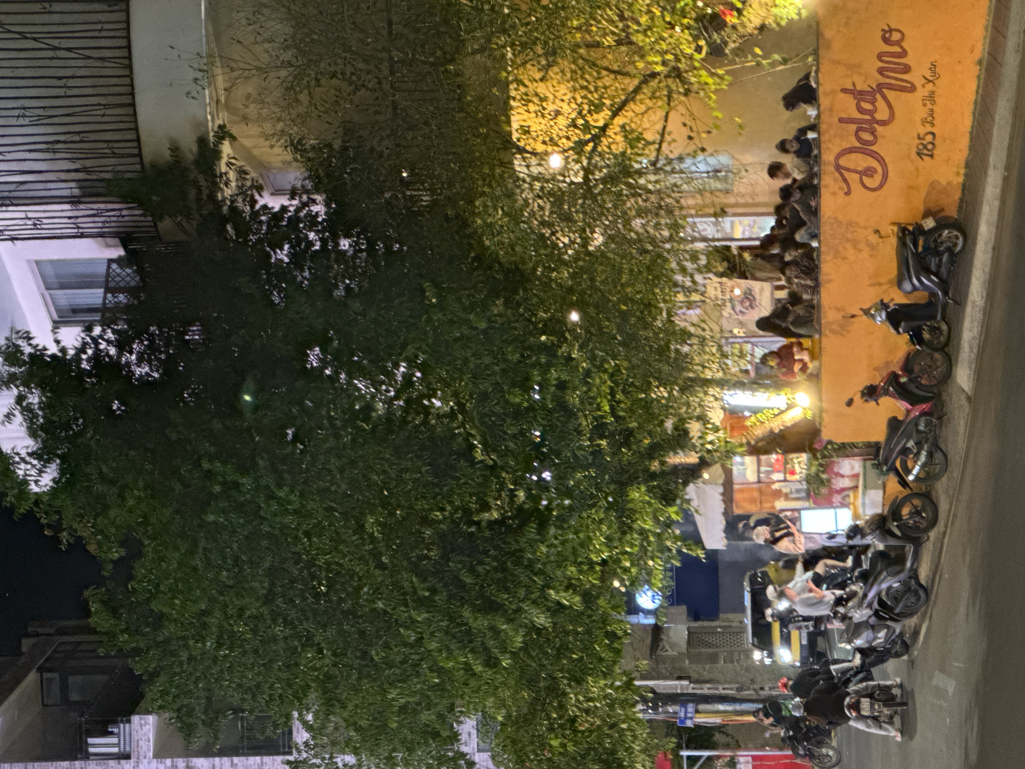 The image depicts an outdoor scene at night, possibly a street or a cafe in Da Lat, Vietnam. A large tree with lush green foliage dominates the left side of the frame, with its branches extending across the top and right. Behind the tree, a building with an orange facade is visible, featuring large script lettering that reads "Dalat Mo" and smaller text below it, "185 Bui Thi Xuan." This text indicates the name of the establishment and its address.
Several people are seated and standing along the orange wall, appearing to be patrons of a cafe or restaurant. They are casually dressed and engaged in conversation or observing their surroundings. The lighting suggests artificial illumination from the building and streetlights, casting a warm glow on the scene. In the foreground and along the right side of the image, multiple motorbikes are parked, a common sight in Vietnam. Some of these motorbikes are dark-colored, while others appear to have red accents. The overall atmosphere appears relaxed and social, suggesting a typical evening gathering. The time of day is clearly nighttime, and the weather seems to be clear.