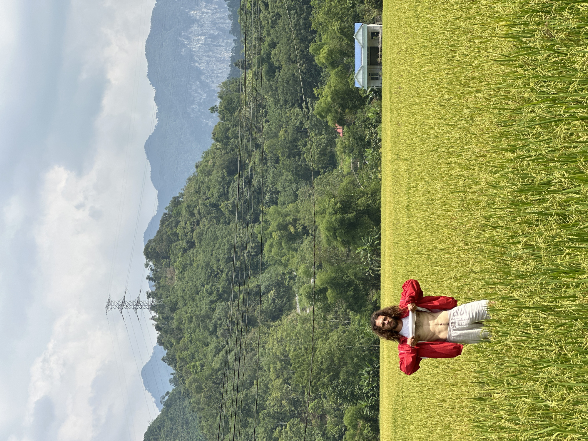 The image, taken in Ngọc Đường Commune, Vietnam, shows a man posing in a vibrant rice paddy field against a backdrop of lush mountains and an overcast sky. The man, with long, dark curly hair and a beard, stands in the foreground, wearing a red open jacket, a white t-shirt, and light-colored pants. He is actively lifting his white t-shirt to reveal his abdomen, looking directly at the camera with a neutral expression. Some faint, indiscernible text is visible on his t-shirt.
The extensive rice paddy field, filled with green and yellow rice plants, occupies the lower portion of the frame, stretching towards the distant mountains. In the mid-ground, a large electricity pylon with multiple power lines traverses the scene, positioned against the green, tree-covered slopes. Further into the background, rolling mountains are covered with dense foliage, appearing hazier due to the distance. A small, light-colored house with a distinctive blue roof is nestled among the trees on the right side of the mountain range. The sky above is overcast with soft, grey clouds, indicating daytime with diffused light. The overall scene blends natural agricultural landscapes with elements of human infrastructure in a rural setting.