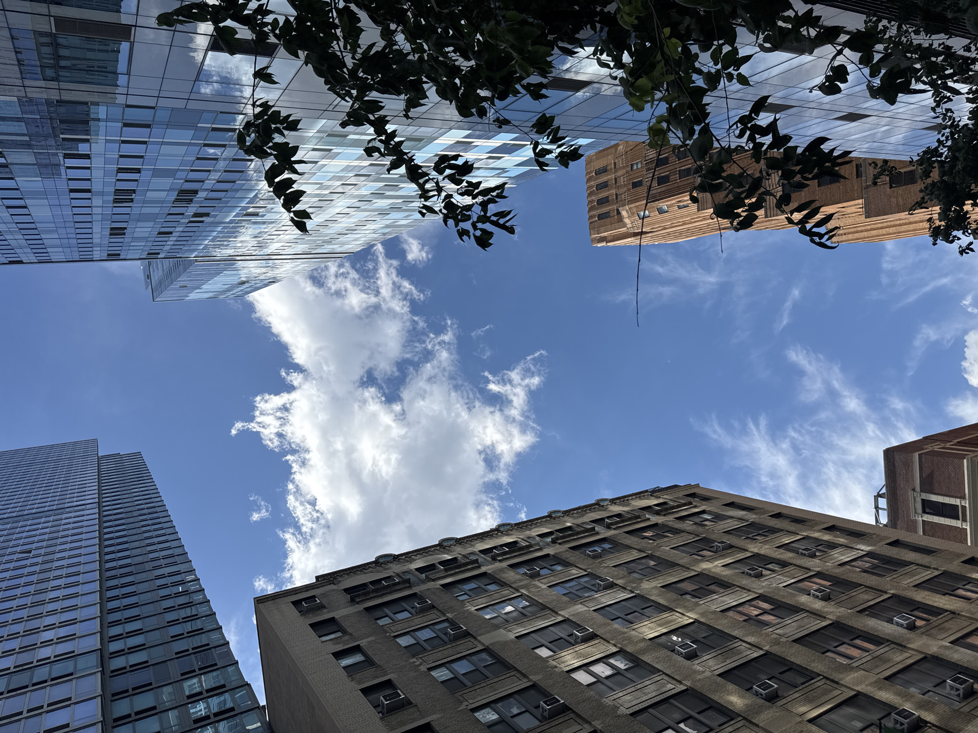 The image is a low-angle shot looking up at several skyscrapers in New York City. The buildings are a mix of modern glass structures and older brick buildings. The sky is blue with scattered white clouds. In the foreground, a tree with dark green leaves partially obscures the view of one of the glass skyscrapers. The buildings are tall and imposing, characteristic of the Manhattan skyline. The scene captures the urban environment of New York City on a clear day.