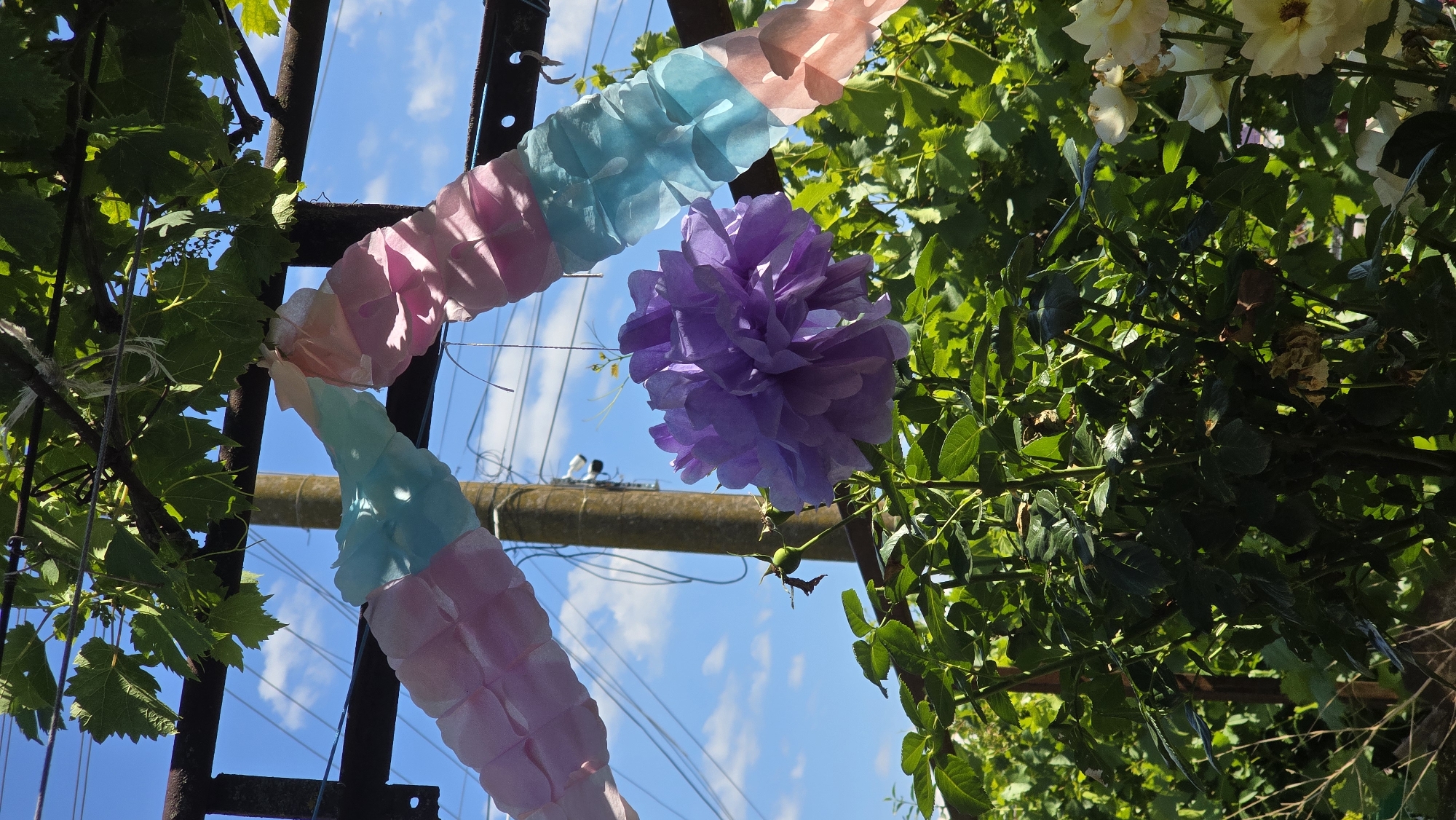 An outdoor scene in Vlasatitsa, Bulgaria, features a purple flower prominently in the foreground, hanging from a vine. Behind the flower, a pastel-colored garland made of pink and blue paper segments is strung between two dark metal supports, which are part of an overhead structure possibly covered by grape leaves. A utility pole and wires are visible in the mid-ground against a blue sky with scattered white clouds. Lush green foliage and a rose bush with yellow flowers form the lower portion of the image.