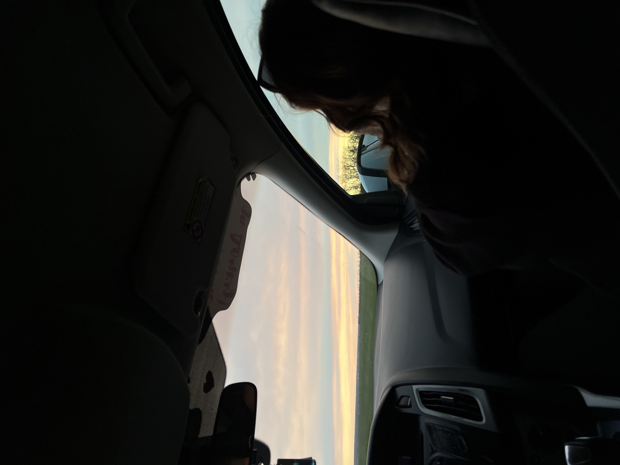 The image captures an interior view from a car, looking out at a horizon during either sunrise or sunset. The scene is rotated 90 degrees clockwise.

**Subjects:** A person, likely female due to the visible long hair, is silhouetted in the right foreground, leaning towards the left to look out of the car's window. Her head and shoulders are visible, mostly in shadow. The interior of a car is prominent, including the dashboard, part of the steering wheel, an air vent, and a sun visor on the left side. A rear-view mirror with a small heart-shaped sticker is also visible. Outside, a vast sky with soft, pastel hues dominates the view, with a flat landscape or field meeting the horizon. Sparse trees or bushes are visible as dark silhouettes against the bright sky in the distance.

**Activity or event taking place:** The person appears to be observing the sky, possibly enjoying a scenic view of the sunrise or sunset from inside the car.

**Notable details:** The time of day is clearly dawn or dusk, evidenced by the gentle, warm colors of the sky (pinks, oranges, light yellows, and soft blues) and the low, soft light that creates silhouettes of the car's occupants and the exterior landscape. The sky is clear, indicating fair weather. The car's interior is largely in shadow, contrasting with the brightness outside. The setting suggests an open, rural, or semi-rural area, consistent with the location context of Novodonetskaya, Russia.

**Visible text:** On the passenger side sun visor, a warning label is visible with symbols including a child seat diagram and airbag warning, along with small, unreadable text. Above this, there's a decorative sticker with partially visible text that appears to be "Younky" or a similar word. A small heart sticker is also visible on the rear-view mirror.
