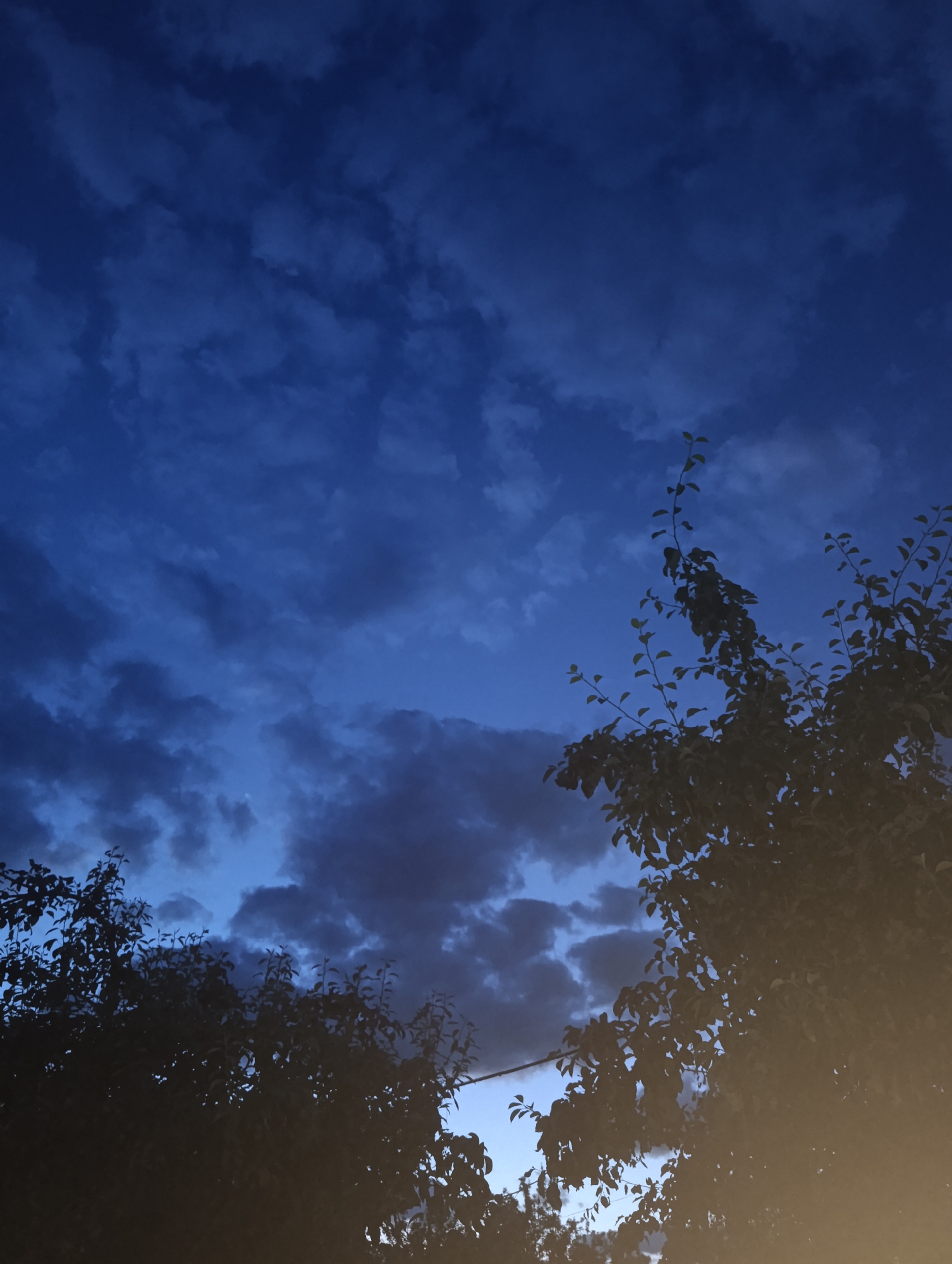 A nighttime image of a cloudy sky with trees in the foreground. The sky is a deep blue with scattered dark clouds. The trees are silhouetted against the sky, with their branches and leaves visible. The image appears to be taken from a ground-level perspective, looking up at the sky. There is no indication of any specific location within the city of Chernihiv, Ukraine.