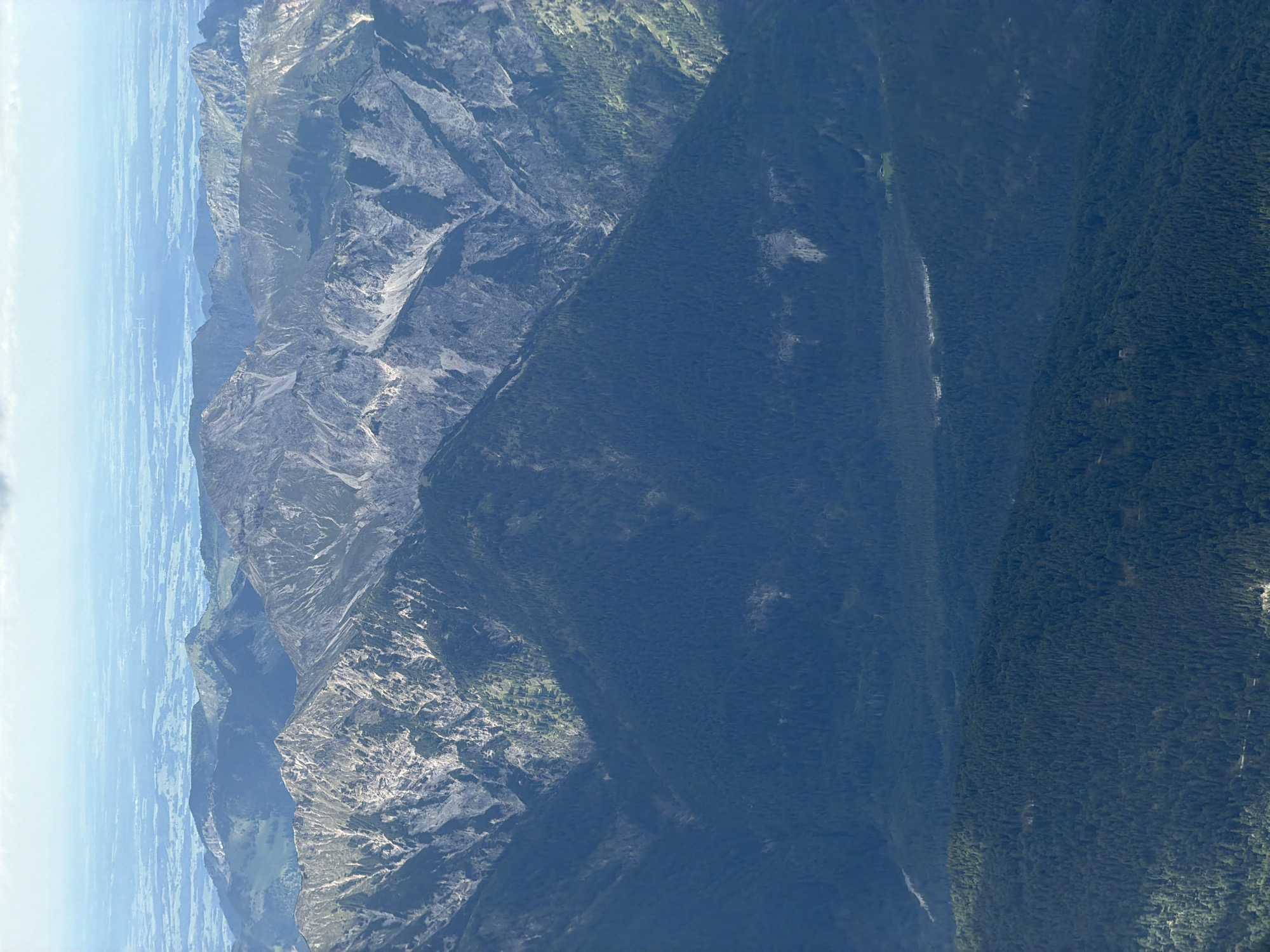 The image displays a panoramic view of the Alps, specifically the area around Garmisch-Partenkirchen, Germany, from a high vantage point. The foreground is dominated by dense, dark green pine forests covering rolling hills and steep mountain slopes. In the midground, the mountains become more rugged, with rocky outcrops and lighter green patches of vegetation interspersed with dark forests. Some slopes show evidence of erosion or scree. The background features a range of imposing, jagged peaks, their upper sections appearing rocky and barren, with hints of snow or lighter colored rock. Beyond the mountains, a hazy, pale blue landscape stretches to the horizon, suggesting a vast plain or valley. The sky is overcast with diffuse light, creating a muted atmosphere. There are no visible people or man-made structures in the immediate vicinity of the natural landscape. The scene is a depiction of a vast, natural alpine environment, characterized by its varied topography and dense forestation.