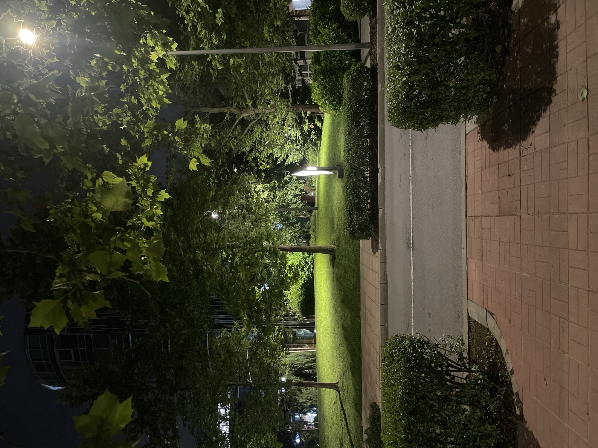 The image captures a serene nighttime scene of a well-maintained urban green space, likely a park or a landscaped area, in Sofia, Bulgaria. No people or specific activities are visible, emphasizing the tranquility of the setting.
The foreground on the right features a neatly patterned brick sidewalk or pathway, running parallel to a narrow strip of asphalt, possibly a service road or another path. A low, dense green hedge or bush lines the edge between these paved surfaces and the central grassy area. Strong, dark shadows are cast across the brick path, suggesting the presence of artificial light sources nearby.
The main body of the image is dominated by a lush green lawn, interspersed with several mature trees with full canopies. The grass is brightly illuminated in patches by artificial lighting, creating a stark contrast with the darker, unlit areas. A modern, rectangular path light stands prominently in the mid-ground, casting a bright glow on the surrounding grass. Another significant light source, appearing to be an overhead streetlamp, is visible in the upper left, its intense light illuminating the vibrant green leaves of the closest trees.
The sky is dark, characteristic of nighttime. Through the dense foliage in the background, parts of a building with visible windows can be discerned, hinting at the urban nature of the location. The overall impression is one of a quiet, illuminated pathway and park area, designed for evening use. There is no visible text in the image.