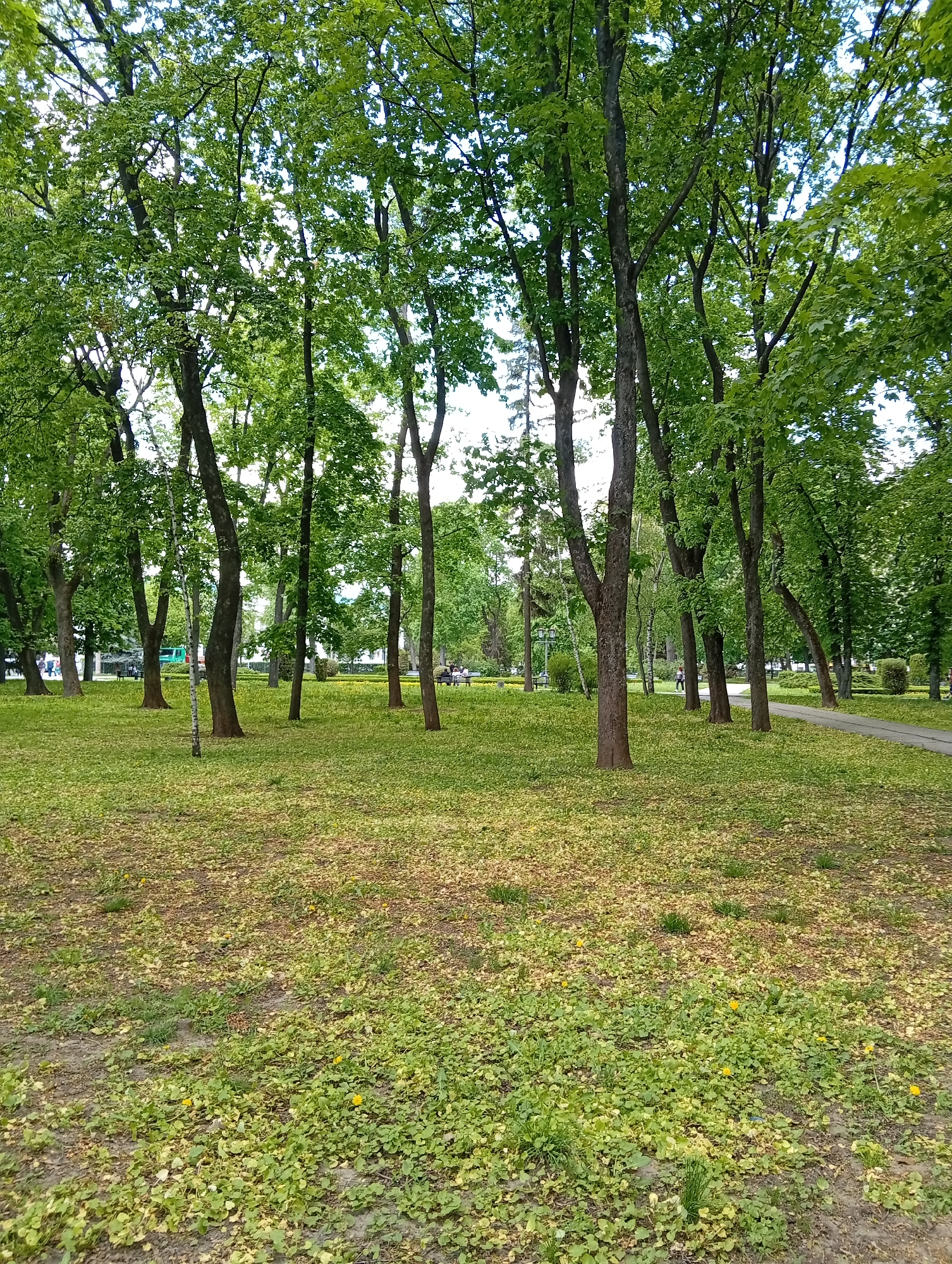 Memory
