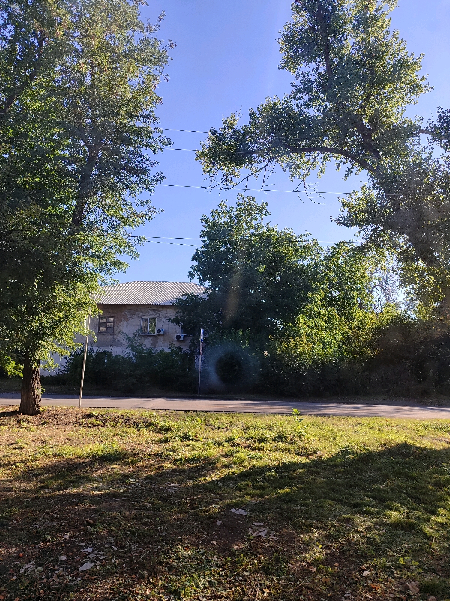 An outdoor, low-angle shot captures a building peeking through a canopy of trees. The building is a single-story structure with a corrugated metal roof and faded, peeling walls. Two windows are visible on its facade, one with a wooden frame and the other with a modern frame. An air conditioning unit is mounted below the latter window. To the left of the building, a portion of a tree trunk is visible, and to the right, a street runs horizontally. The ground in front of the building is covered in grass and scattered leaves. The sky is a clear, bright blue, with faint power lines stretching across it. The scene appears to be a residential area.