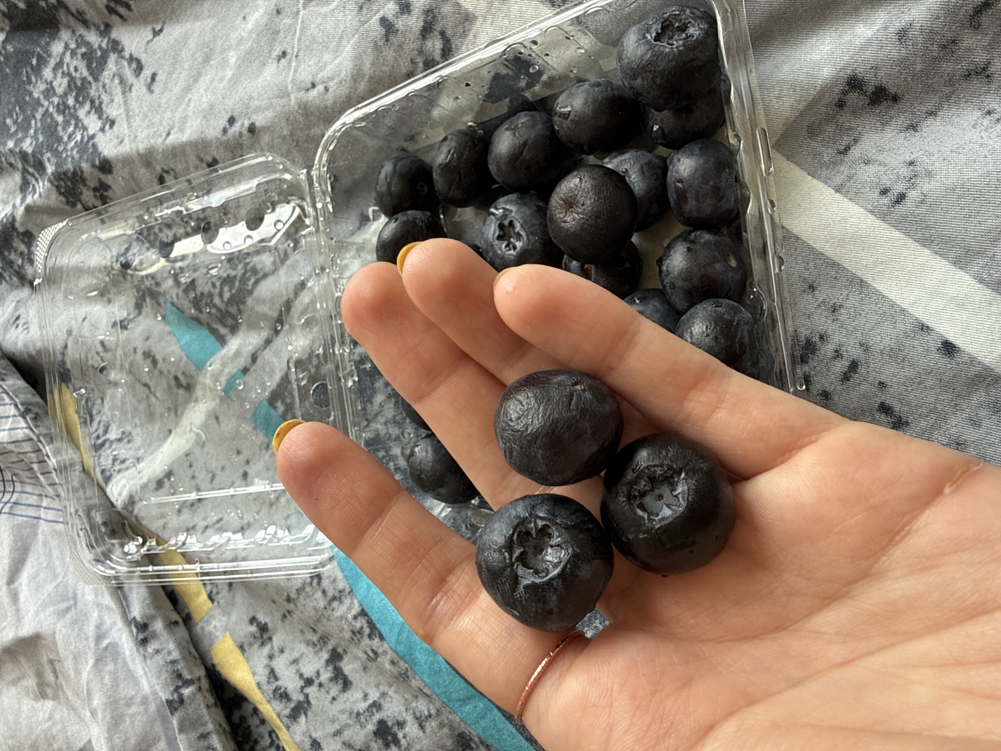 The image shows a hand holding three blueberries, with a clear plastic container filled with more blueberries in the background. The hand has a ring on one finger and yellow nail polish on another. The background is a patterned fabric, possibly a bedsheet or blanket. The scene appears to be indoors, likely in a home setting. There is no evidence to suggest the location is Moscow, Russia.