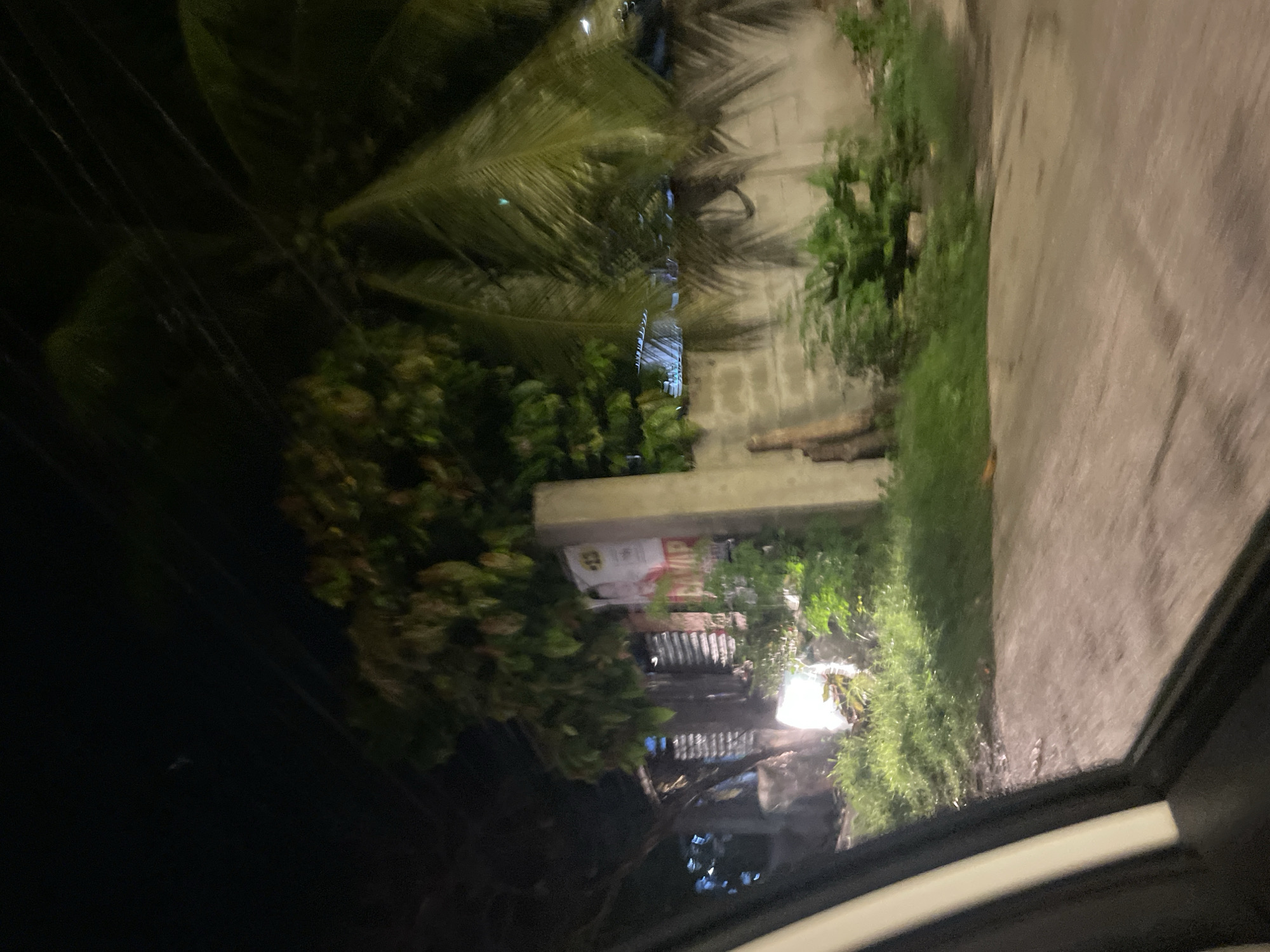 The image depicts a street-level view at night, likely from inside a vehicle, in Davao City, Philippines. A white car frame is visible in the lower left corner. The scene features a paved road with a dirt shoulder covered in lush green grass and foliage. Behind the vegetation, a light-colored concrete wall forms a boundary. Overgrown trees, including palm fronds, are prominent, with dense foliage obscuring much of the background. A roughly constructed building with corrugated metal roofing and visible wooden beams is present to the left of a concrete pillar. A weathered poster or sign, partially visible and featuring red and white lettering, is affixed to the side of the building. The lighting suggests artificial illumination, possibly from streetlights or nearby buildings, creating a somewhat hazy atmosphere. The overall impression is a semi-urban or suburban environment at night, with elements of natural growth and modest construction.