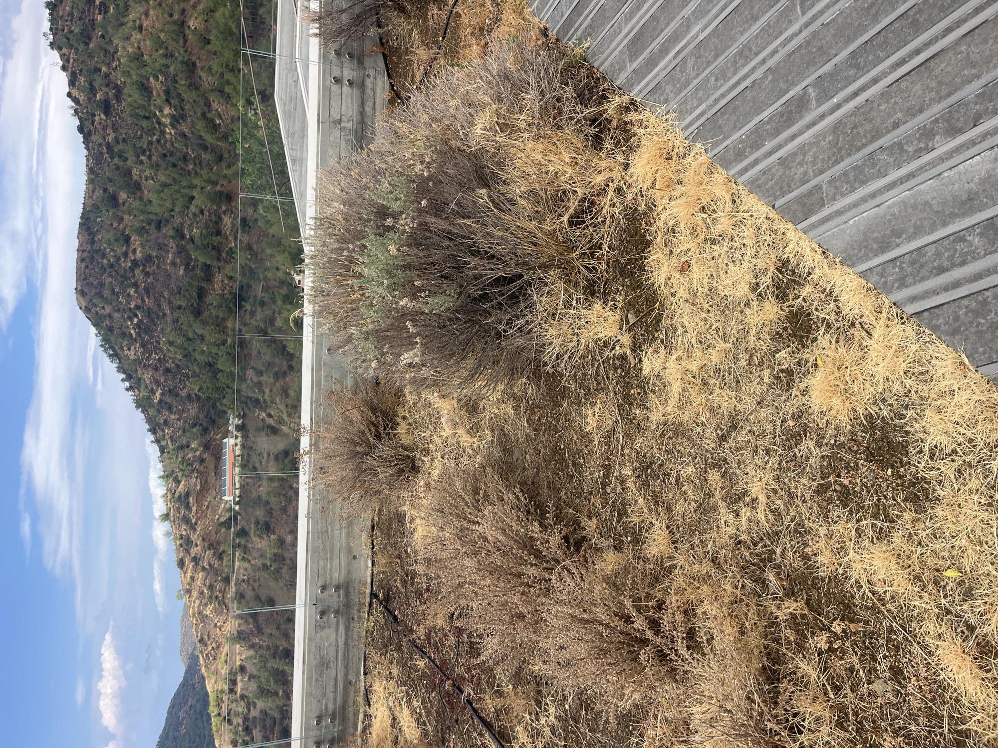 The image shows a dry, arid landscape with sparse, brown vegetation and some green bushes. There is a concrete wall with a glass railing in the background, overlooking a hilly, forested area with a building visible in the distance. A metal structure, possibly a roof or walkway, is in the foreground on the right side of the image. The sky is blue with scattered clouds. The scene appears to be located in Kalopanagiotis, Cyprus, given the dry, mountainous terrain and the Mediterranean vegetation. There are no people visible in the image, and no specific actions or interactions are depicted. The overall impression is one of a natural, somewhat rugged environment.