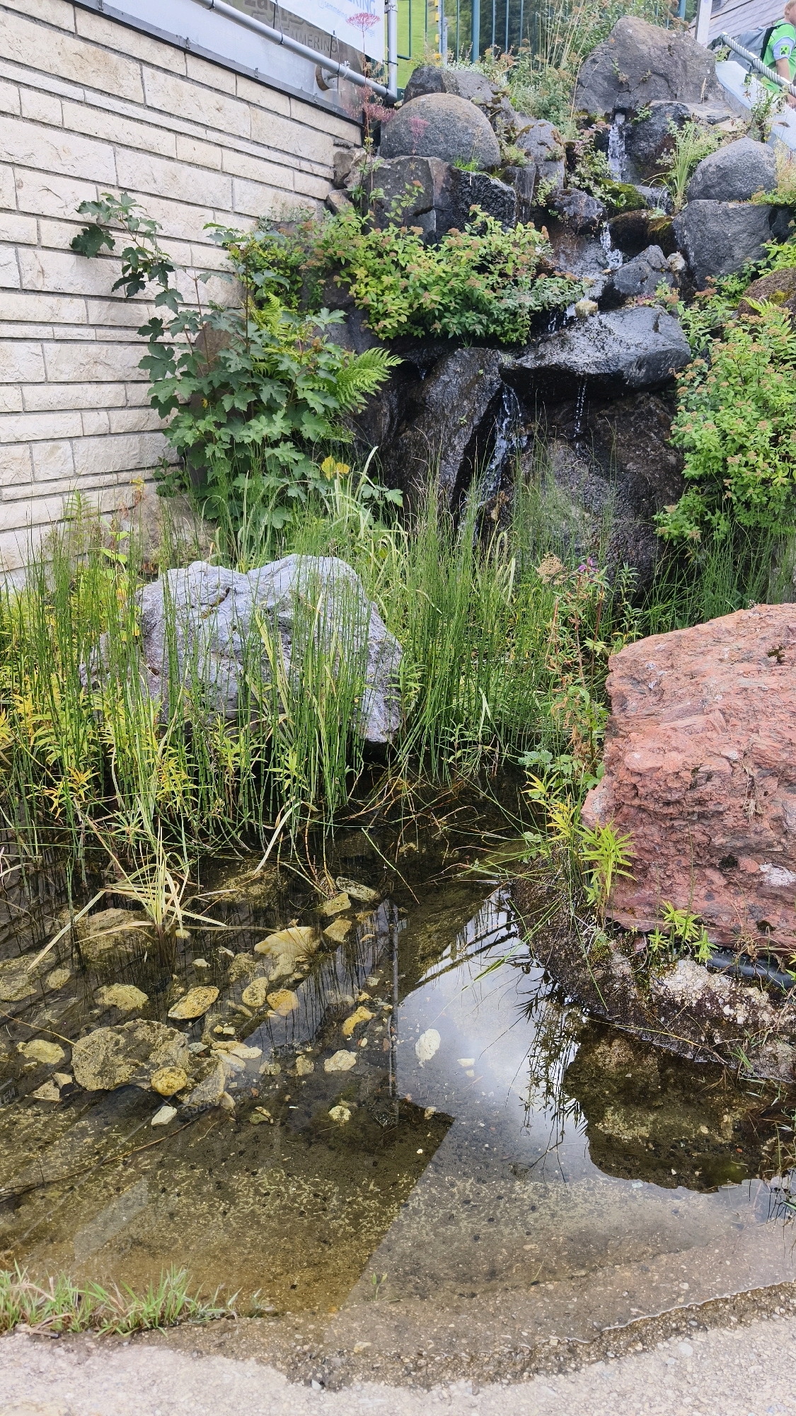 The image depicts a small man-made rock garden with a cascading water feature. The garden is situated outdoors, adjacent to a light-colored brick wall. Lush green vegetation, including ferns and tall grasses, grows amongst the dark, wet rocks of the waterfall. A shallow pool of water at the base of the waterfall contains scattered rocks and reflects the sky and surrounding greenery. To the right of the pool, a large, reddish-brown rock is prominently visible. The scene appears to be part of an urban or suburban landscaping, possibly a public space or private residence in Spital am Semmering, Austria. No people are visible in the image.