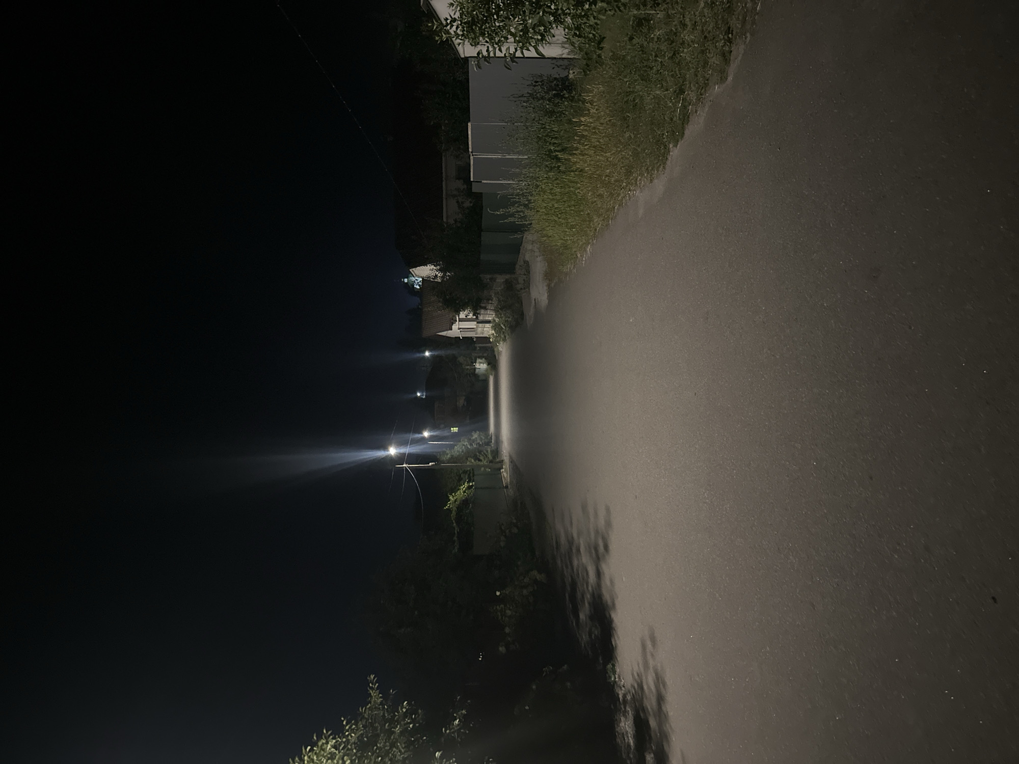 The image depicts an asphalt road at night in a residential area of Khmilnyk, Ukraine. The road is illuminated by streetlights positioned along its left side, casting long shadows. On the right side of the road, there is a dense patch of overgrown grass and vegetation, bordered by a light-colored fence. Several houses are visible in the background, some with illuminated windows, suggesting occupancy. Trees and foliage line the left side of the road, partially obscuring the view of the properties beyond. The overall atmosphere is quiet and dimly lit, typical of a suburban or rural street after dark.