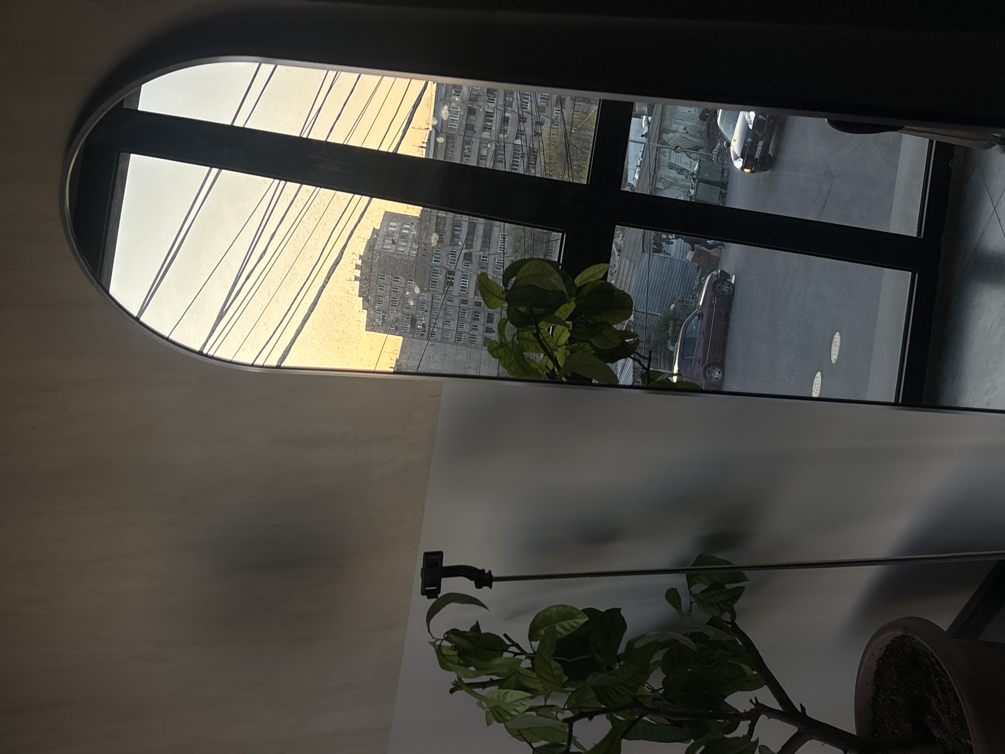 The image shows a view through a curved window in what appears to be a modern building, likely in Yerevan, Armenia, based on the architecture of the buildings visible outside. Outside the window, there are multiple high-rise apartment buildings of Soviet-era construction, a common sight in Yerevan. Power lines run across the sky. On the street outside, two cars are parked, a silver one and a red one. Inside, in the foreground, a potted plant with green leaves is visible. The lower portion of the interior wall is white. The window frame is black.
