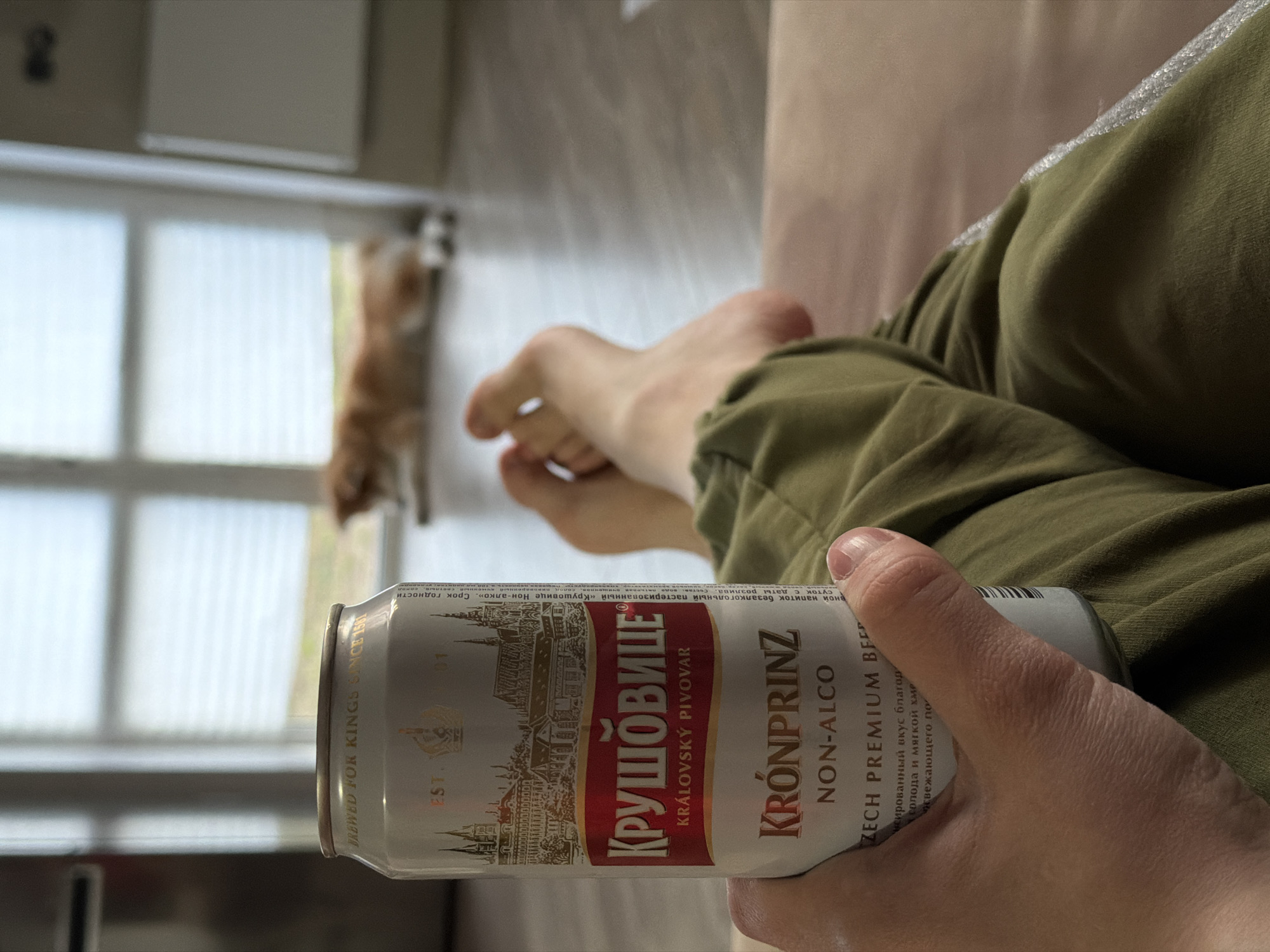 The image captures a person's legs and right hand holding a can of non-alcoholic beer, seen from a slightly elevated perspective. The person is wearing olive green sweatpants with a light-colored, possibly reflective, stripe along the side, and their bare feet are visible, suggesting a relaxed posture, perhaps lounging on a sofa or bed.
The prominent object is a white can of "КРУШОВИЦЕ" (Krusovice) "KRONPRINZ NON-ALCO" non-alcoholic beer. The can features a historical castle illustration and states "BREWED FOR KINGS SINCE 1581" and "CZECH PREMIUM BEER". Additional Cyrillic text describes it as a "non-alcoholic pasteurized drink «Krusovice Non-alco»", mentioning shelf life, bottling details, and ingredients like purified drinking water, malt, and mild hops for a refreshing taste. The hand holding the can is light-skinned, with visible knuckles and fingernails.
In the blurred background, a window with horizontal blinds or curtains is visible, allowing daylight to enter. To the right of the window, a ginger or orange cat can be faintly discerned. The setting appears to be an indoor space, likely a living room or bedroom, during the daytime, creating a casual and comfortable atmosphere. The scene suggests a moment of relaxation in Chaikovsky, Russia.