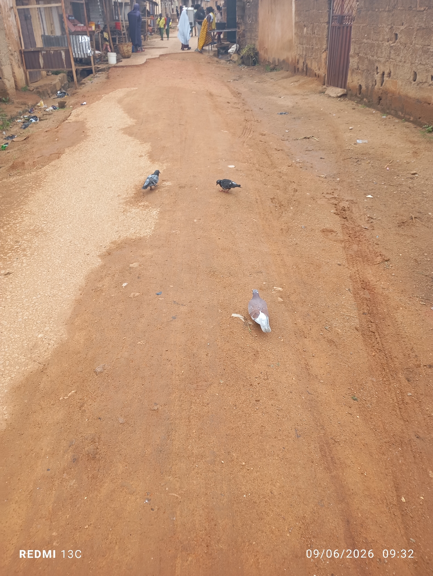The image depicts a dusty, unpaved road in what appears to be a rural or semi-urban setting. The road is predominantly a reddish-brown earth color, with some patches of lighter, gravelly material. Several pigeons are visible on the road, some walking and others perched. In the background, there are buildings with corrugated metal roofs and brick walls, suggesting a simple, possibly informal, construction style. A few people are walking in the distance, some wearing traditional clothing, adding to the impression of a community setting. The overall scene is one of everyday life in a location that is not a bustling metropolis, but rather a more quiet, perhaps developing, area. The timestamp "09/06/2026 09:32" and the text "REDMI 13C" are visible at the bottom of the image, indicating the capture date and the device used.