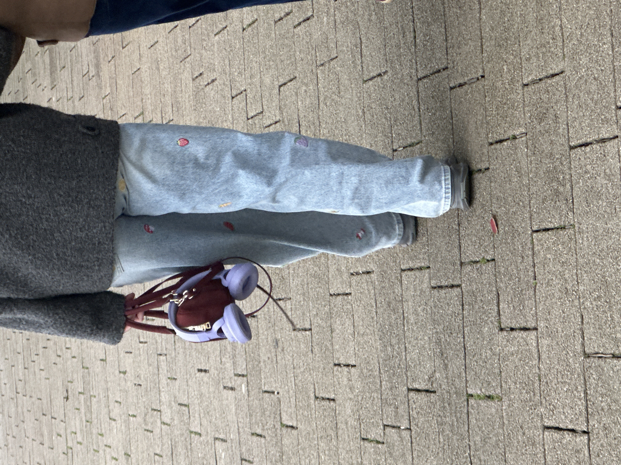 An outdoor pedestrian area within the city of Sochi, Russia, is depicted from a low-angle perspective, focusing on the lower bodies of two individuals walking. The primary subject, positioned on the left, wears a textured dark gray or charcoal-colored sweater and light blue denim jeans adorned with multiple small embroidered fruit motifs, including red strawberries, purple grapes, and yellow bananas. This individual wears dark gray closed-toe shoes and carries a small, two-tone bag by its handles in their left hand; the bag is primarily burgundy or maroon with lavender or light purple accents. A pair of lavender or light purple headphones are attached to or hanging from this bag. To the right of the primary subject, the right leg of a second individual is partially visible, clad in dark blue pants and a light brown upper garment. The ground beneath them is composed of rectangular, light gray paver stones with visible seams, in some of which small patches of green vegetation, possibly grass or weeds, are growing. A single small, red, leaf-like object rests on the pavement in the foreground. The lighting is diffuse, indicative of an overcast day.