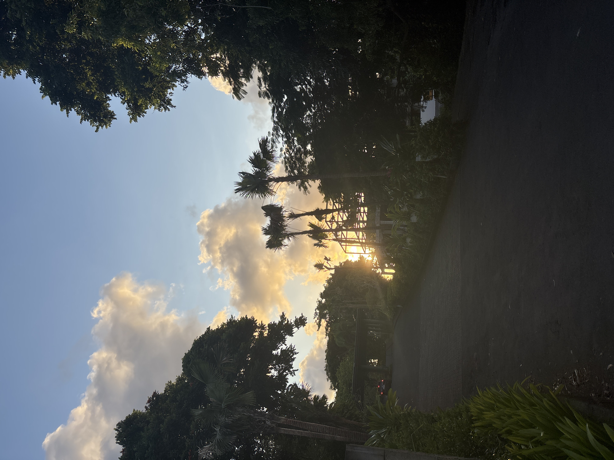 The photograph depicts a scene in Kuta Selatan, Indonesia at either sunrise or sunset, as evidenced by the position of the sun and the golden hue cast across the sky and clouds. The view is directed up a paved road, lined with tropical vegetation, including palm trees. The silhouettes of trees and plants frame the bright sky. The sun is positioned low on the horizon, shining through the trees. The clouds are scattered across the blue sky. The vegetation on either side of the road is dense and varied. A vehicle with its lights on is visible further down the road.