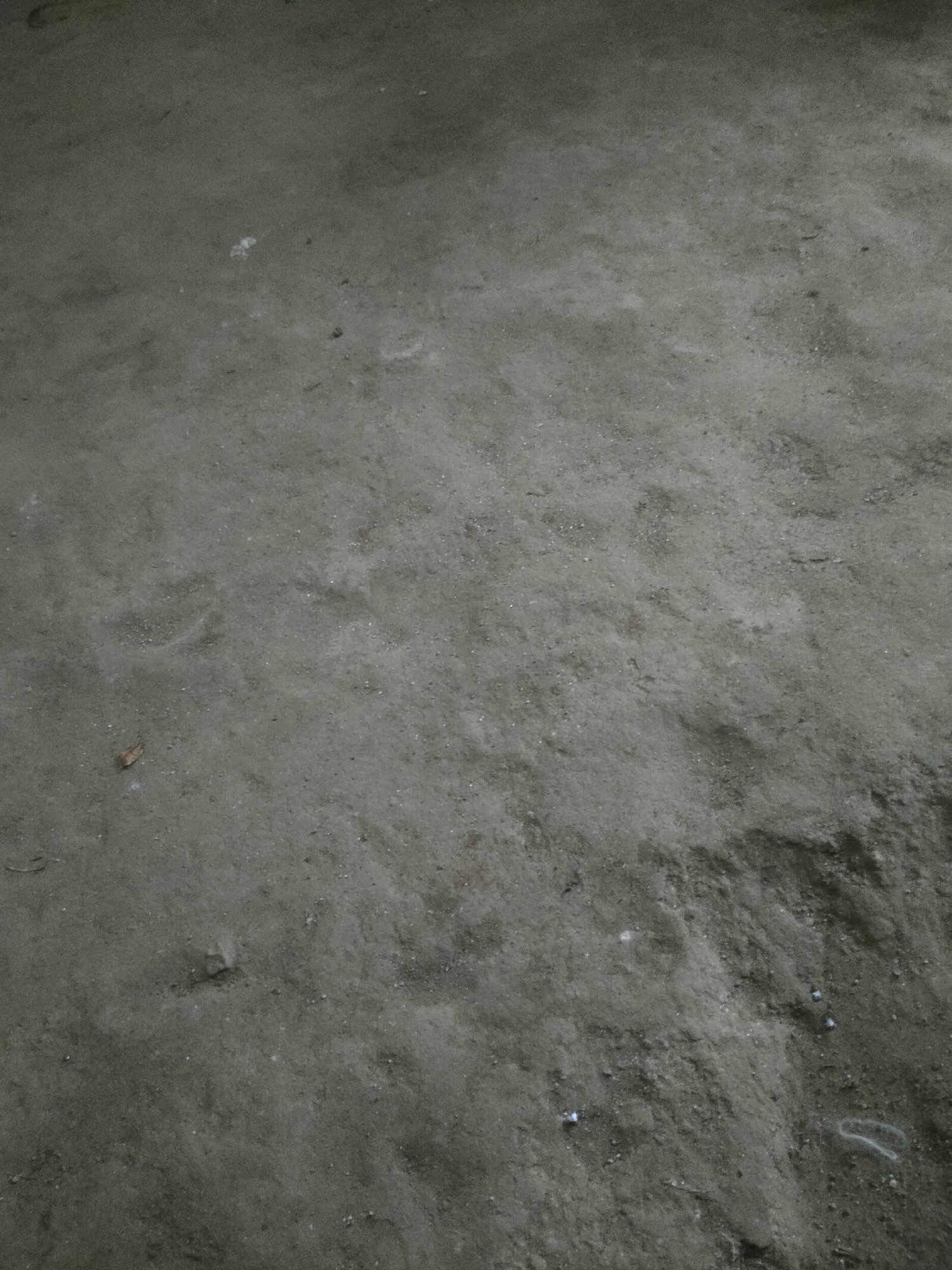 The image depicts a close-up, overhead view of a patch of dry, sandy ground with some small pebbles and debris scattered across its surface. The ground appears somewhat uneven with slight depressions and mounds, suggesting natural terrain. The coloration is predominantly a muted, earthy gray, indicative of dry soil. No specific landmarks or structures are visible, making it impossible to pinpoint a location within Padang Dalom, Indonesia based solely on the visual information provided. The scene is static and devoid of any human activity or distinct objects.