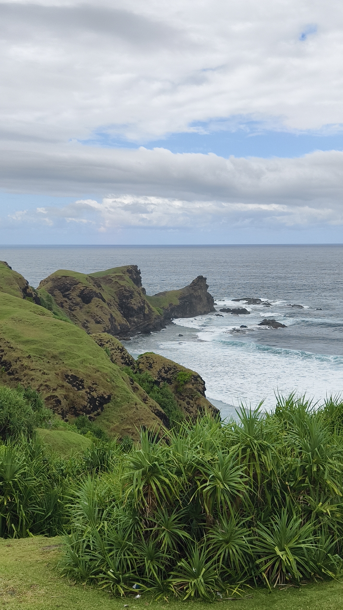The image displays a vibrant natural coastal landscape, captured during daytime under a partially cloudy sky in Kuta, Indonesia. In the immediate foreground, a lush expanse of spiky, bright green plants, likely pandan, grows on a grassy slope.
Behind this verdant vegetation, a series of undulating green hills and rugged cliffs, covered in rich grass and patches of darker earth, dramatically curve along the coastline, extending into the midground. Several prominent dark rock formations jut out from these hills into the ocean.
The expansive ocean dominates the background, appearing in various shades of dark blue and grey. White, foamy waves actively crash against the rocky shore and the scattered offshore rocks, creating dynamic patterns and streaks of turquoise water.
The sky overhead features layers of light grey and white clouds, interspersed with notable patches of clear blue sky, particularly visible towards the upper right. The overall impression is one of rugged natural beauty and tranquility. No human presence, man-made objects, or text are visible in the scene.