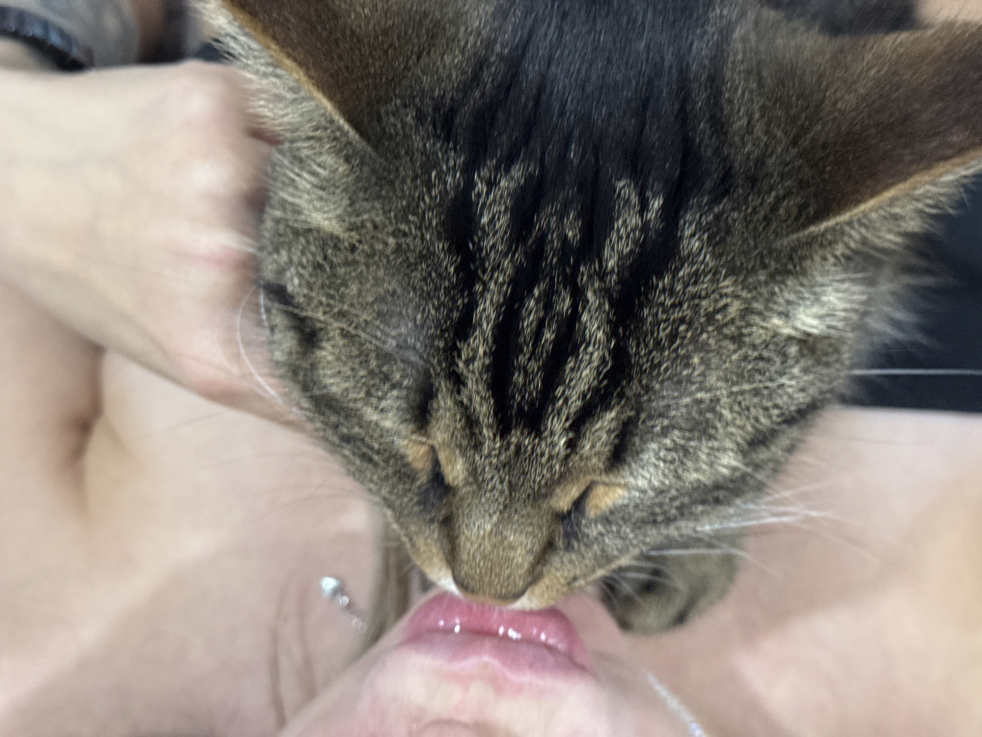 The image shows a close-up of a person's lips, which are pink and appear to be slightly parted, with some moisture. A tabby cat's head is pressed against the person's lips, with its nose and fur visible. The cat's fur is a mix of brown, black, and gray stripes. The background is out of focus, but appears to be light-colored, possibly skin or fabric. There is a thin chain necklace with a small, shiny pendant visible on the person's neck. The image is taken from a high angle, looking down on the subjects. The scene does not provide any information about the location in the city of Chaikovsky, Russia, or any other environmental context.