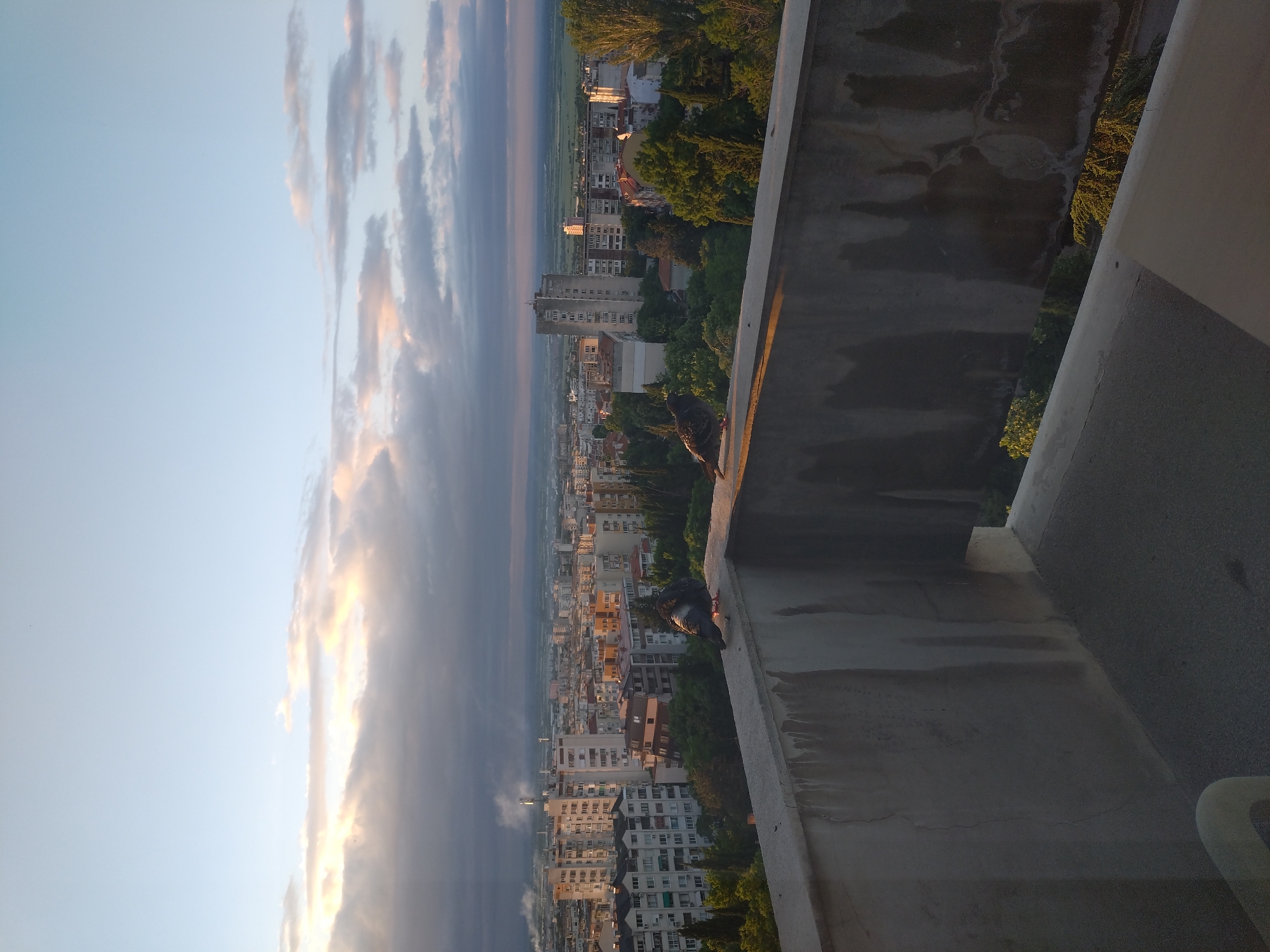 The image shows a cityscape of Stara Zagora, Bulgaria, from an elevated vantage point, possibly a balcony or rooftop. The view encompasses a mix of residential and commercial buildings, interspersed with green trees. In the foreground, two pigeons are perched on the edge of a concrete structure. The sky is visible, with clouds suggesting either sunrise or sunset. The light is soft and diffuse.