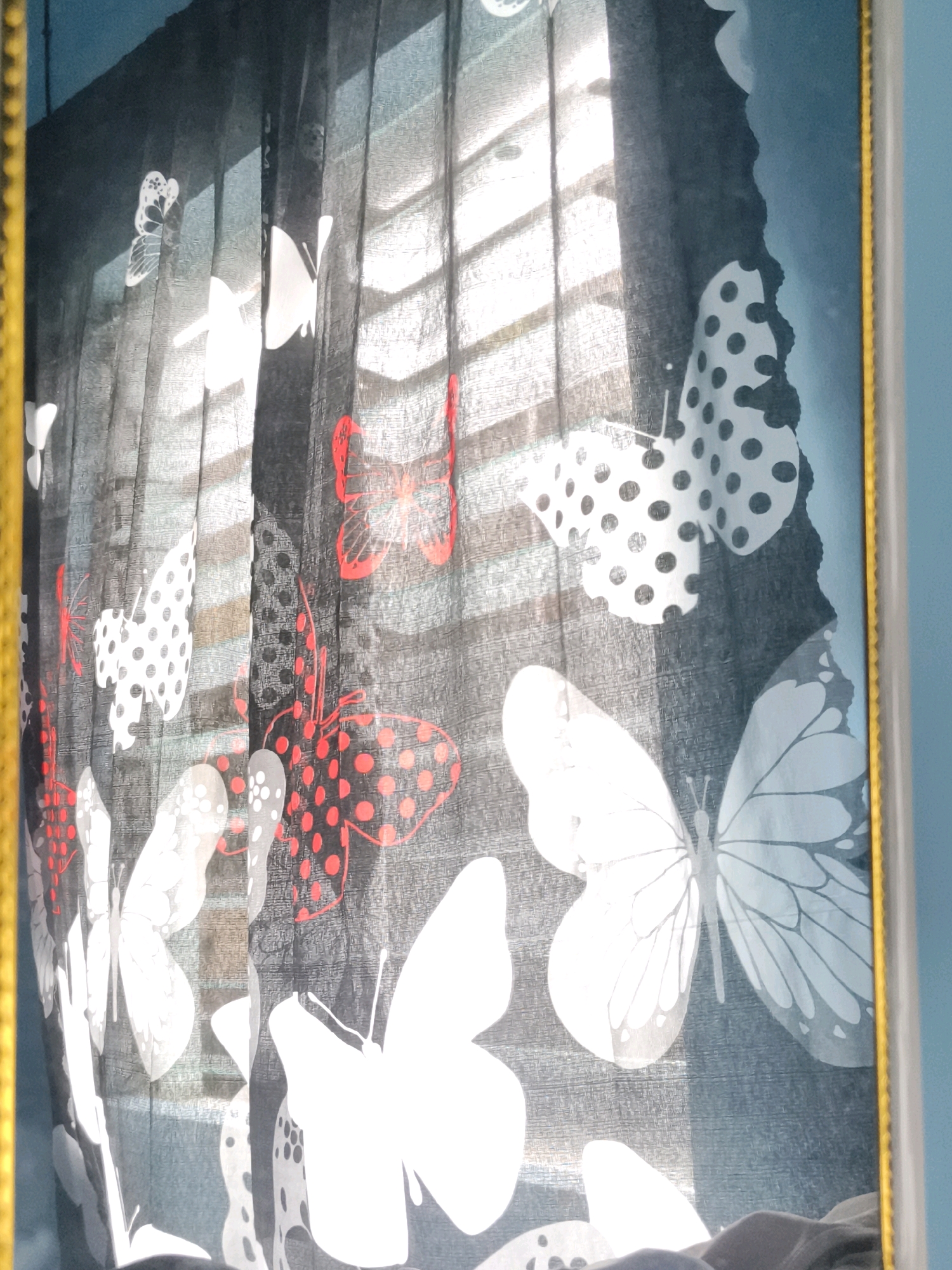 The image displays a close-up view of a sheer dark curtain with a butterfly pattern. The butterflies are depicted in various designs, some are solid white, some have red polka dots, and others have black polka dots. The curtain is hanging, and the sunlight is filtering through it, creating a dappled effect and illuminating the patterns. There is a glimpse of what appears to be blinds behind the curtain. A thin gold frame is visible on the left side of the image. The background wall is painted a light blue. The scene appears to be an indoor setting, likely a window with a decorative curtain. There is no discernible information within the image that allows for the identification of a specific location within Caloocan, Philippines.
