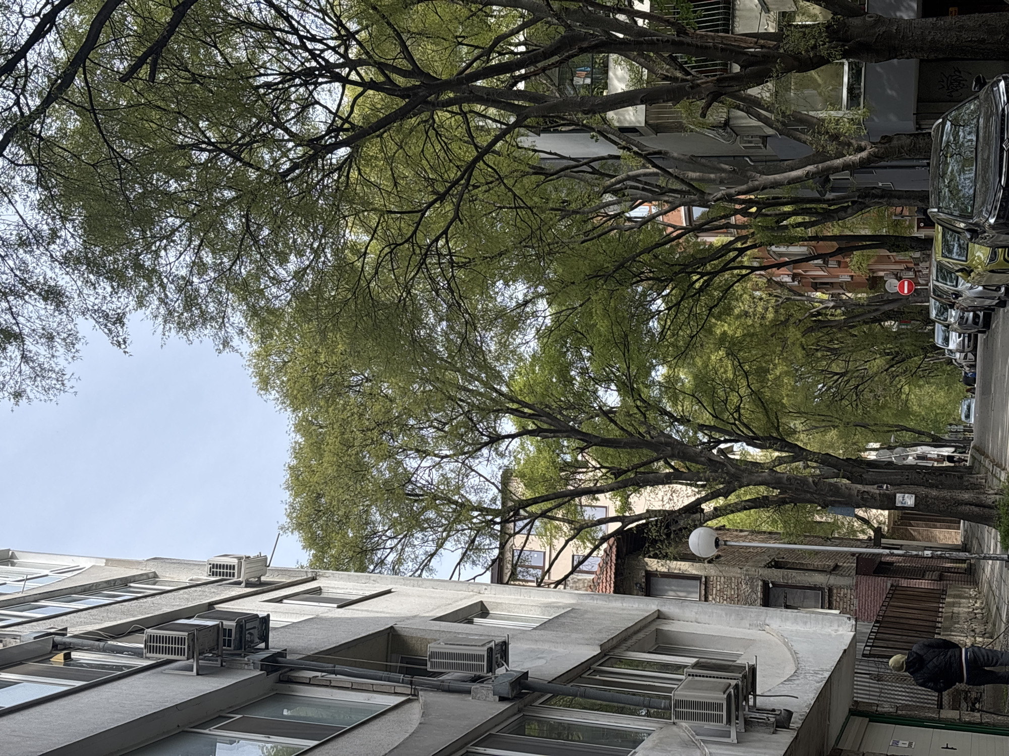 The image depicts a street scene in Varna, Bulgaria. The view is looking down a street lined with mature trees whose branches canopy overhead, partially obscuring the sky. Buildings are visible on either side of the street.
On the left, a multi-story building with multiple windows and air conditioning units is seen. On the right, there are older buildings with various architectural styles. A lamppost is partially visible.
The street is lined with parked cars. A pedestrian is visible on the right side of the street, near the foreground. A "no entry" traffic sign is seen further down the street.