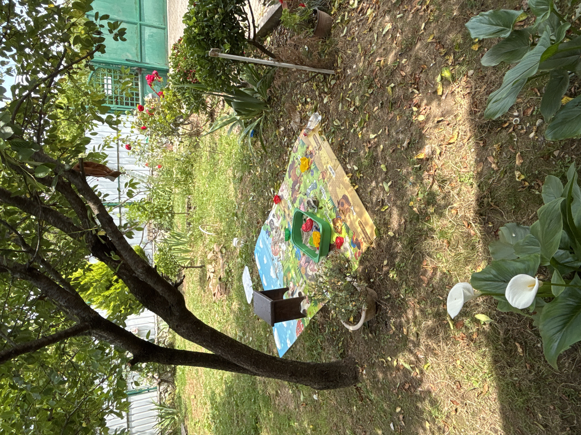 The image depicts a backyard scene in Gudauta, Abkhazia, under the dappled sunlight filtering through the leaves of a mature tree. In the foreground, two white calla lilies with broad green leaves are in bloom. The middle ground features a children's play mat spread on the grass, decorated with farm animals and cartoon characters. A small brown wooden stool sits on the mat. A green plastic container, filled with sand and several colorful toy figures, is also on the mat. To the right, a thin wooden pole stands vertically, and beyond it, lush green bushes and a red rose bush are visible. Further back, a light-colored metal fence runs along the property line, with a tall green gate visible on the right side of the image. The ground is covered with dry leaves and grass.
