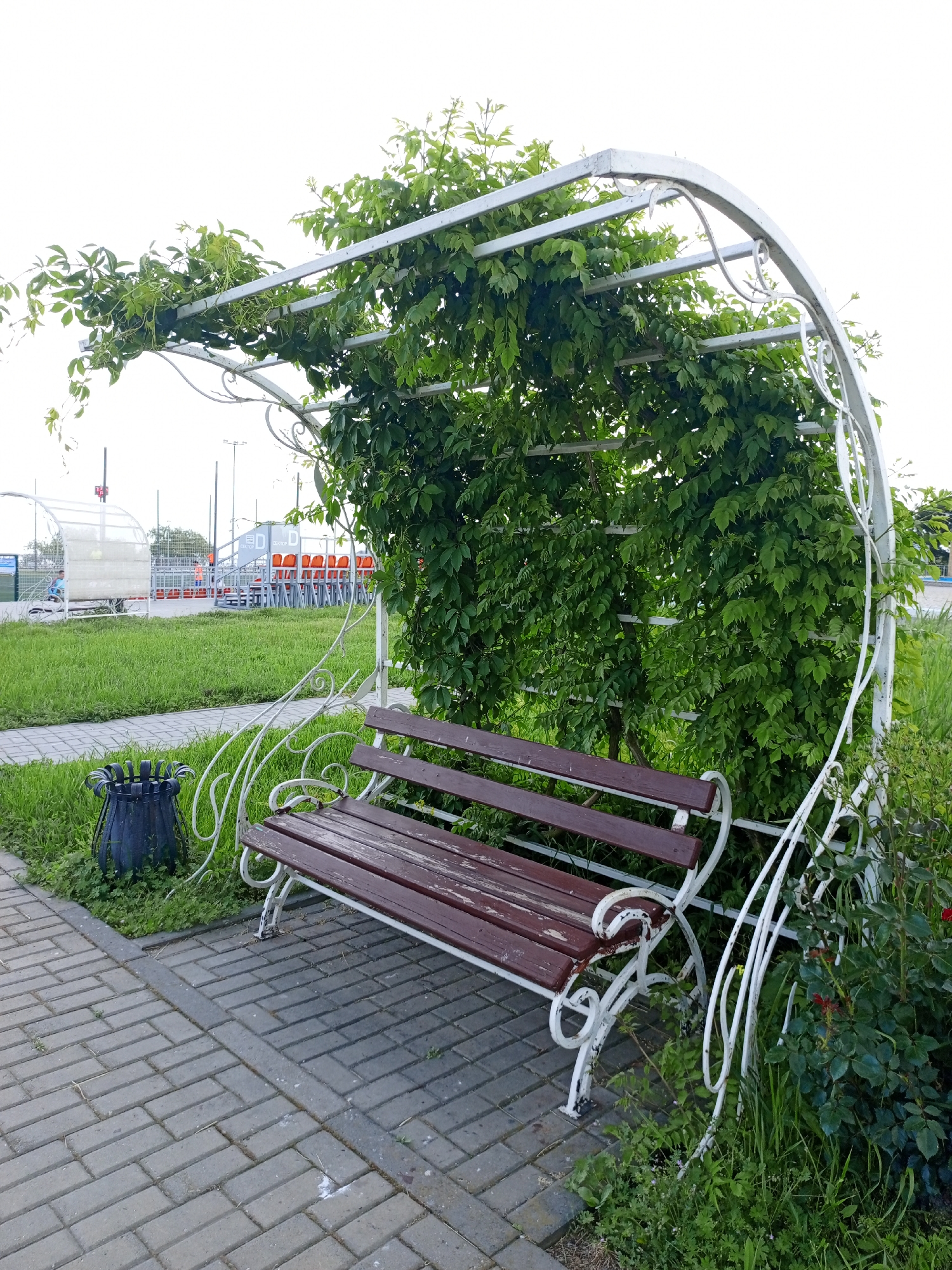 A park bench is positioned under a white metal arbor covered in green foliage. The bench is made of dark brown wood slats with white metal supports and decorative flourishes. A dark gray trash receptacle sits to the left of the bench on the brick-paved ground. Beyond the bench is a patch of green grass, and in the distance, structures that appear to be part of a sports facility are visible.