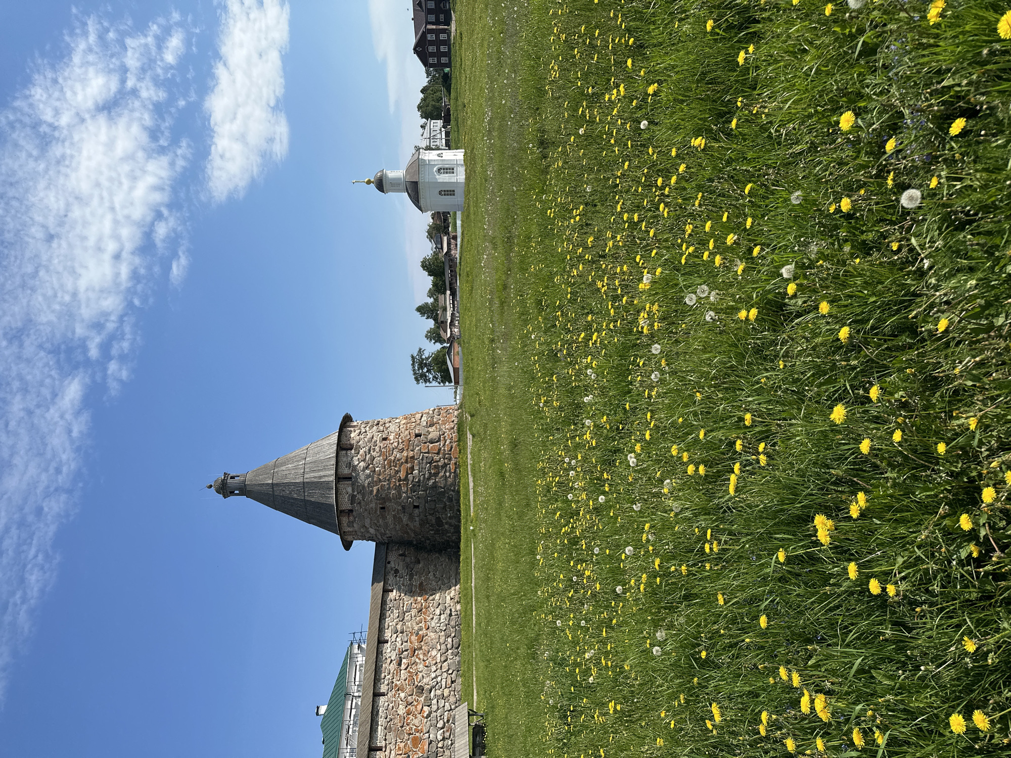 The image depicts a view of the Solovetskiy Monastery complex on Solovetskiy Island, Russia, on a clear day with a blue sky dotted with white clouds. In the foreground, a lush green meadow is filled with numerous yellow dandelions and white dandelion seed heads, creating a vibrant, natural landscape.
Dominating the left side of the frame is a section of the monastery's stone wall, constructed from rough-hewn, irregular stones in shades of brown and grey, with some areas showing red brickwork. Adjacent to the wall, a circular stone tower with a conical wooden roof stands tall. The tower has small, dark openings and is capped with a weathered wooden structure. Next to the wall and tower, a simple wooden bench is visible.
Further into the midground, a small, white, domed chapel with a golden cross on its roof stands prominently. Behind the chapel, a cluster of traditional wooden buildings with dark roofs and facades can be seen, suggesting a village or other monastic structures. Trees are scattered throughout the landscape, and a building with a green roof, possibly part of the monastery, is visible to the left of the stone tower. The overall scene conveys a sense of historical significance and serene natural beauty.