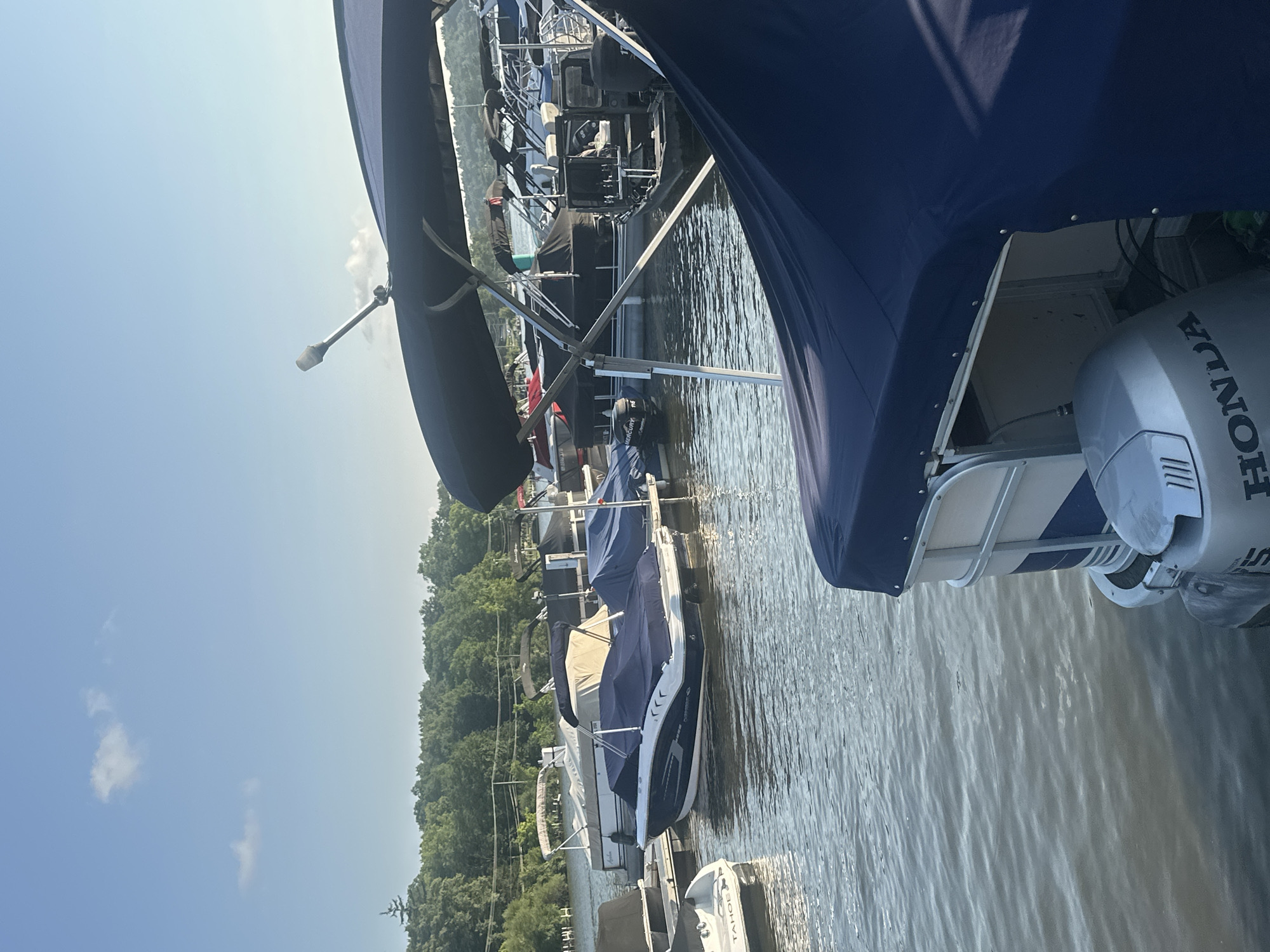 The image depicts a marina in Algonquin, United States of America, under a clear blue sky with a few wispy clouds. Several boats are docked, some covered with blue tarps, others with light-colored covers. The foreground features a pontoon boat with a blue canopy and a visible Honda outboard motor. In the mid-ground, a white and blue speedboat is covered with a dark blue tarp. Behind these, a line of other boats, mostly pontoon boats, are visible, many also covered. The water of the marina is calm, reflecting the sky and the boats. A dense line of green trees forms the background, suggesting a wooded area adjacent to the water. Power lines can be seen strung between poles in the distance, hinting at a developed shoreline. The overall scene is one of a quiet, well-maintained marina on a sunny day.