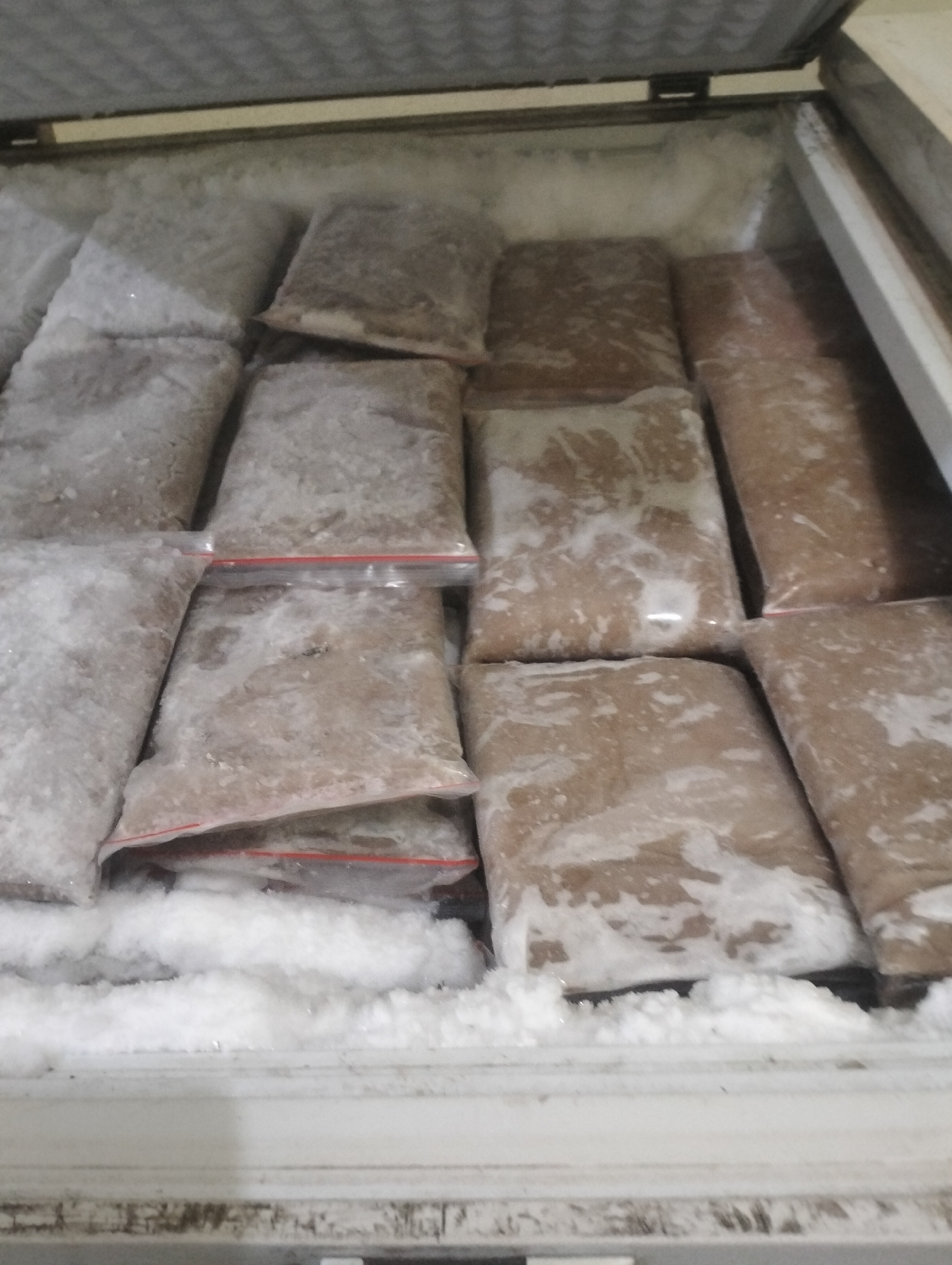 The image shows a chest freezer filled with frozen food items packaged in clear plastic bags. The bags are arranged in rows, with some bags partially covered in frost. The freezer appears to be in a commercial or industrial setting, given the quantity of food. The location is identified as Sebangar, Indonesia. The scene is a static, indoor shot of a freezer containing frozen goods.