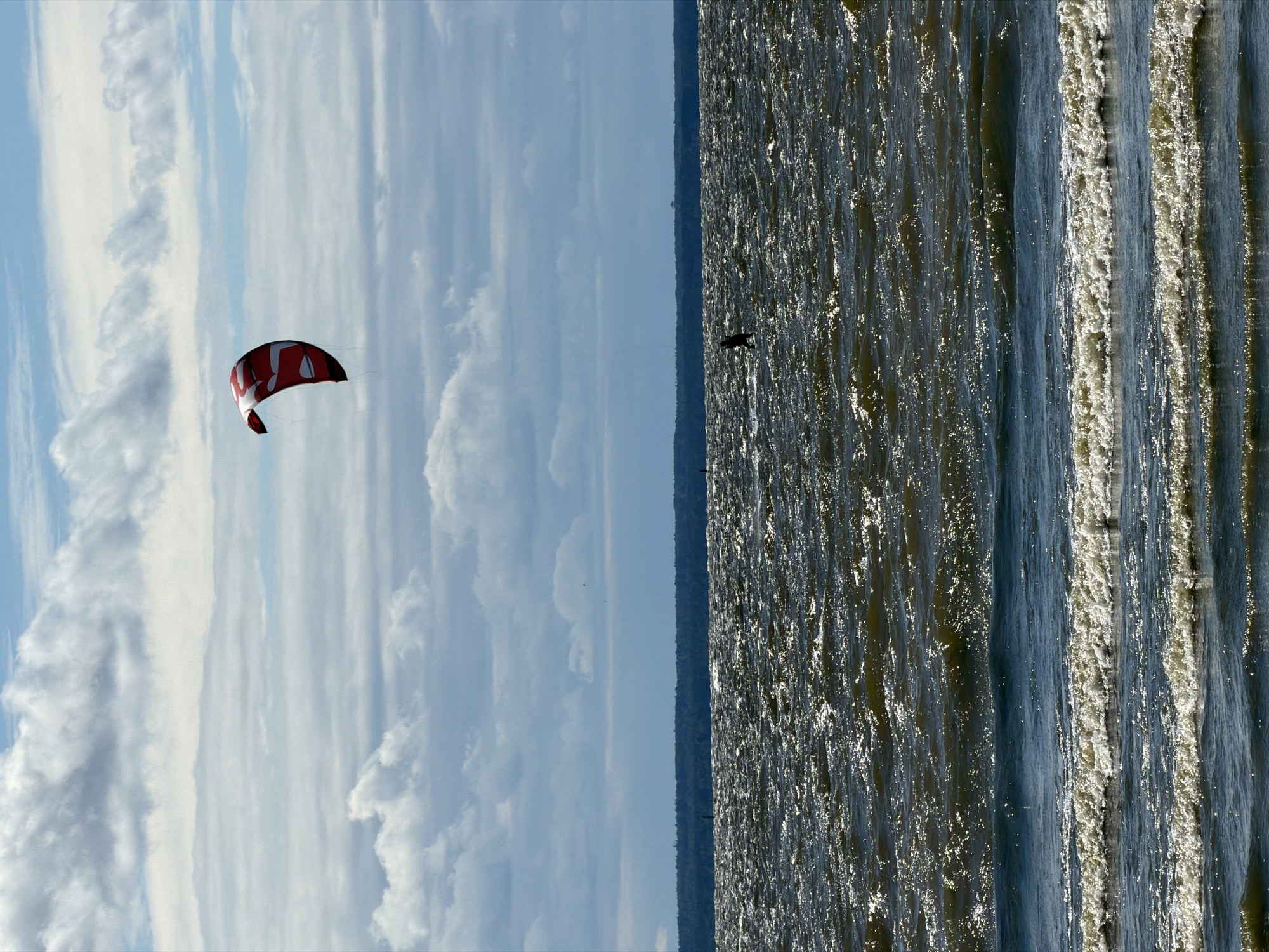 A red and white kite is airborne over a body of water. A person is kiteboarding on the choppy water. In the distance, a treeline forms a dark horizon against a cloudy sky. The water's surface is highly reflective, with sunlight glinting off the waves.