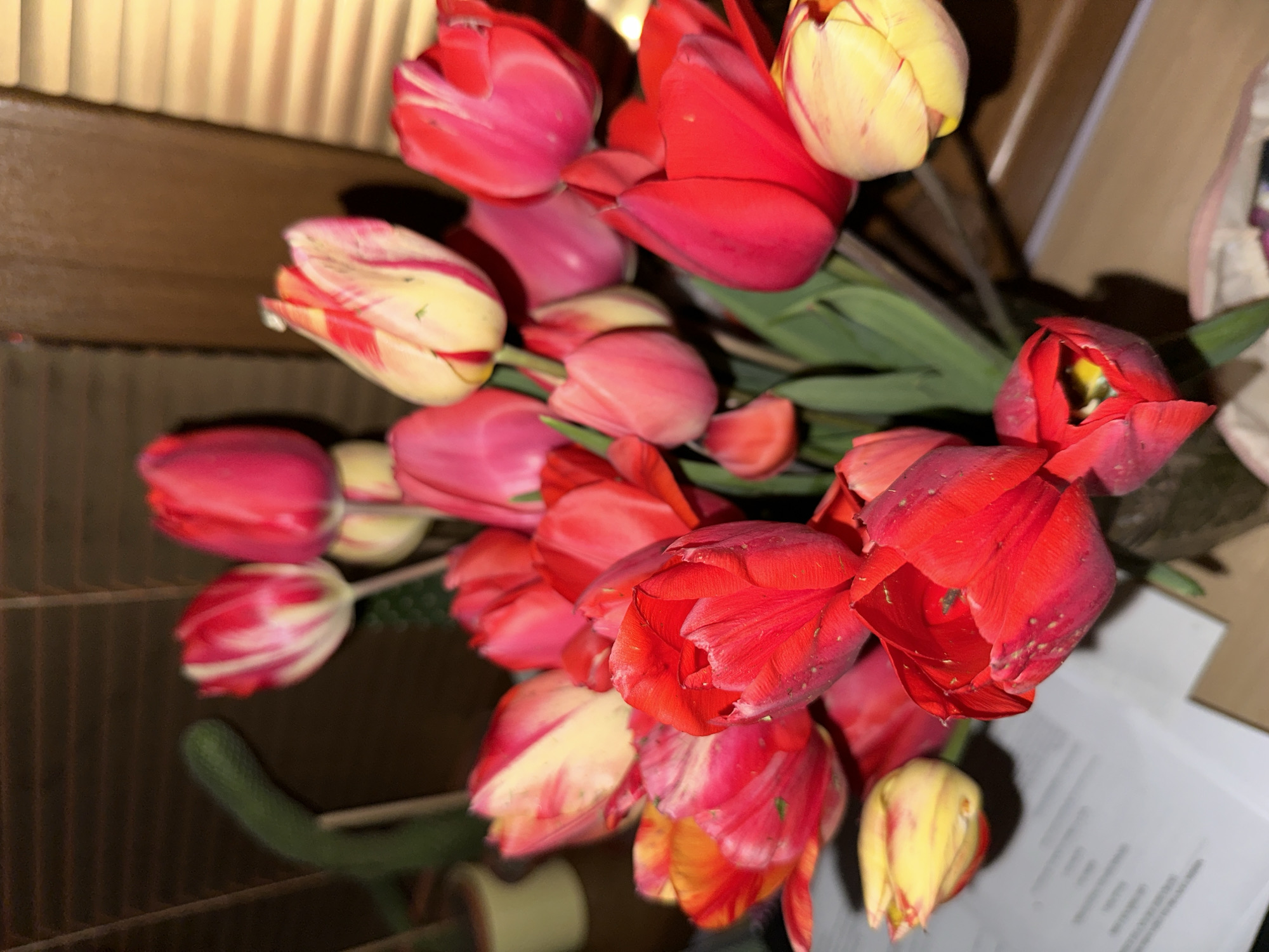A close-up, slightly overhead shot depicts a vibrant bouquet of tulips. Predominantly red and pink tulips are intermixed with a few that exhibit a creamy yellow hue with reddish streaks. Green stems and leaves support the flowers. The bouquet appears to be indoors, partially resting on a cardboard surface. A strip of vertically textured material is visible in the upper left of the image. A green hose, and a white and gold spool are at the bottom left. White paper is in the lower right. The image does not provide sufficient information to determine if this scene occurred in Stara Zagora, Bulgaria.