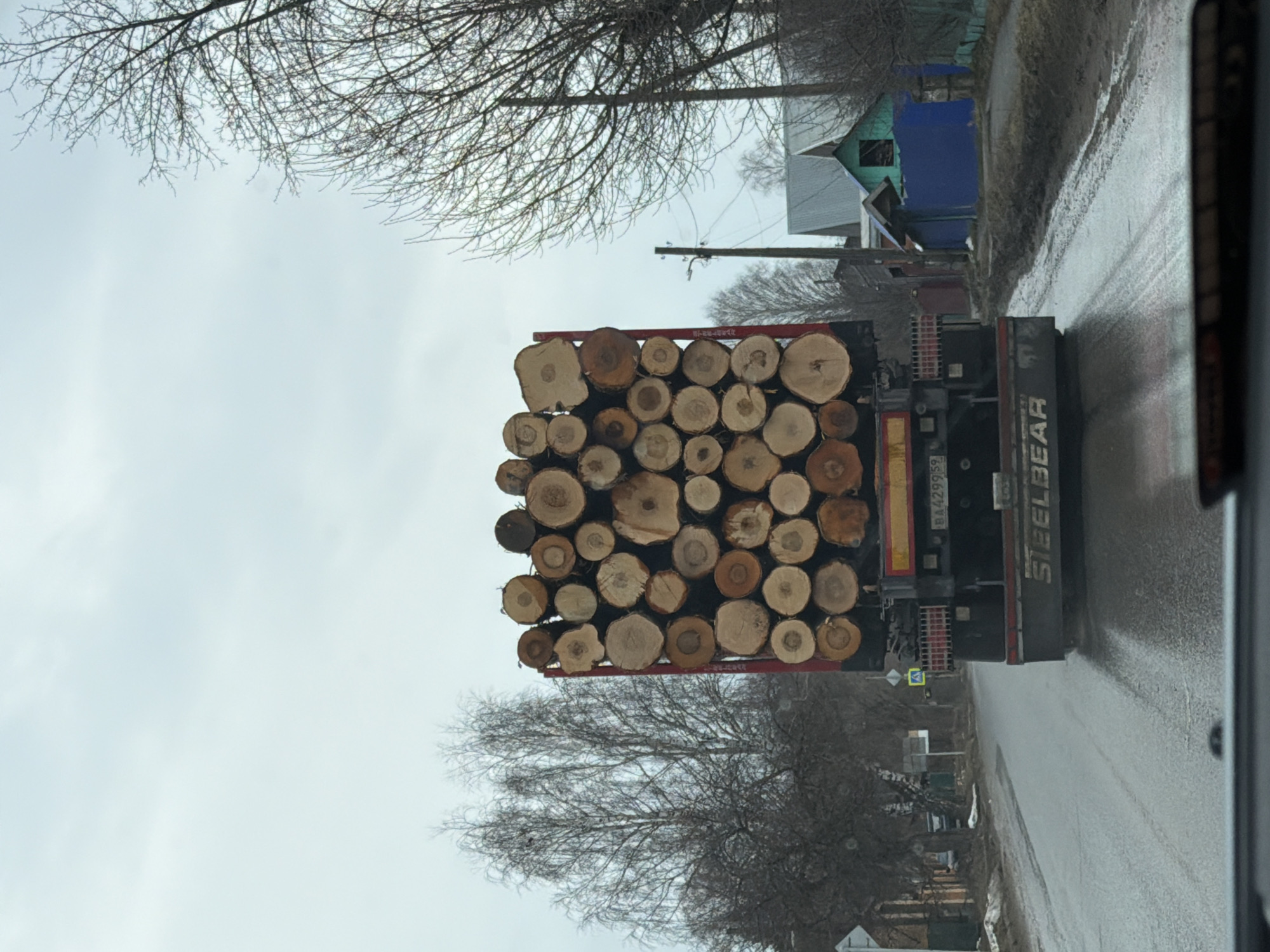 The image shows a truck carrying logs on a road in what appears to be a residential area. The truck is loaded with a large stack of freshly cut logs. The road is wet and appears to be recently paved. There are houses and trees visible in the background. The license plate of the truck is BA429959, which indicates that the location may be in Chaikovsky, Russia. The sky is overcast. The truck's manufacturer appears to be STEELBEAR. The photograph was likely taken from inside another vehicle.