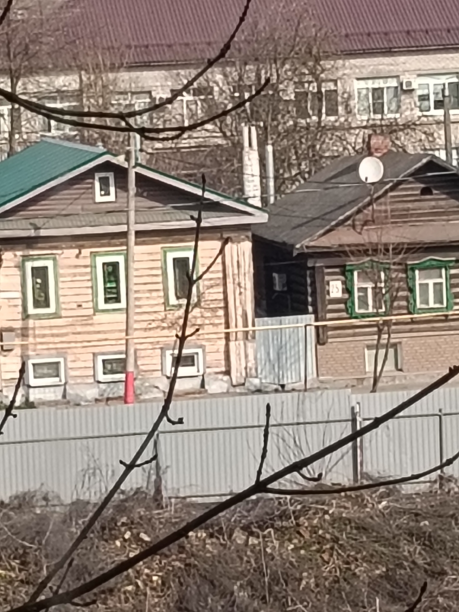 The image shows two adjacent, aged, wooden houses in Murom, Russia. The house on the left is clad in light-colored horizontal siding with green window frames and a green metal roof. The house on the right is darker and made of stacked logs. A satellite dish is mounted on the roof of the right house. A modern multi-story brick building is visible in the background. A grey corrugated metal fence runs in front of the houses. Bare tree branches are in the foreground, partially obscuring the view. The ground is covered in dry vegetation. The number 75 is on the right side of the house on the right.