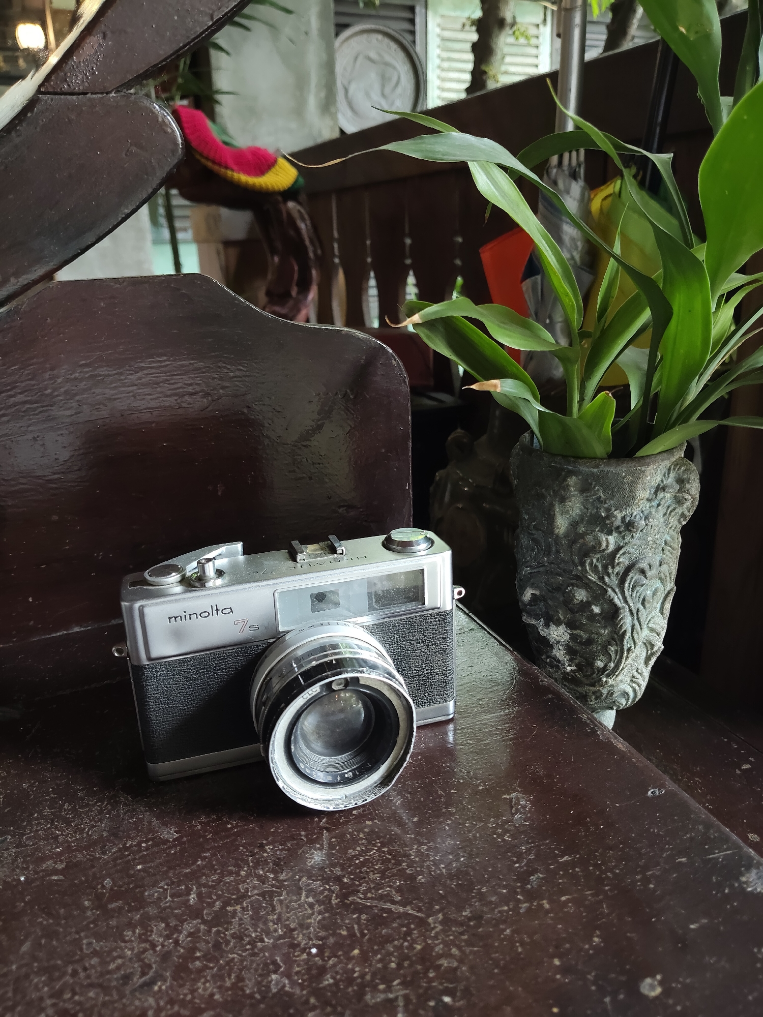 A vintage silver Minolta 7s camera with a black textured grip and a lens is placed on a dark brown wooden surface. Behind the camera, a potted plant with long green leaves stands in an ornate, weathered stone pot. The background features dark brown wooden furniture, and out-of-focus elements including what appears to be a woven object in bright colors and vertical blinds. The lighting suggests an indoor setting, possibly a home or cafe, in the city of Medan, Indonesia.