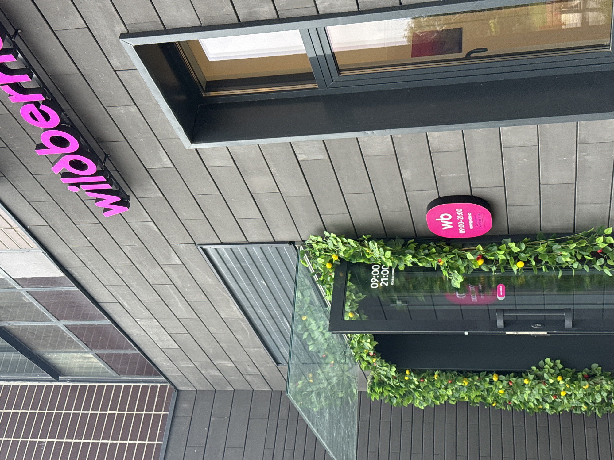 The image shows the entrance to a Wildberries store in Lyubertsy, Russia. The storefront is clad in dark grey brick-like tiles. A bright pink "wildberry" sign is mounted above the entrance. The entrance itself is framed by an open door and artificial greenery with small yellow and red fruits. A glass canopy extends over the entrance. To the right of the door, on the wall, is a pink oval sign with the "wb" logo, indicating store hours as "09:00-21:00" and "ежедневно" (daily). A window is visible to the right of the entrance, with reflections of the surroundings. The lighting suggests it is daytime.