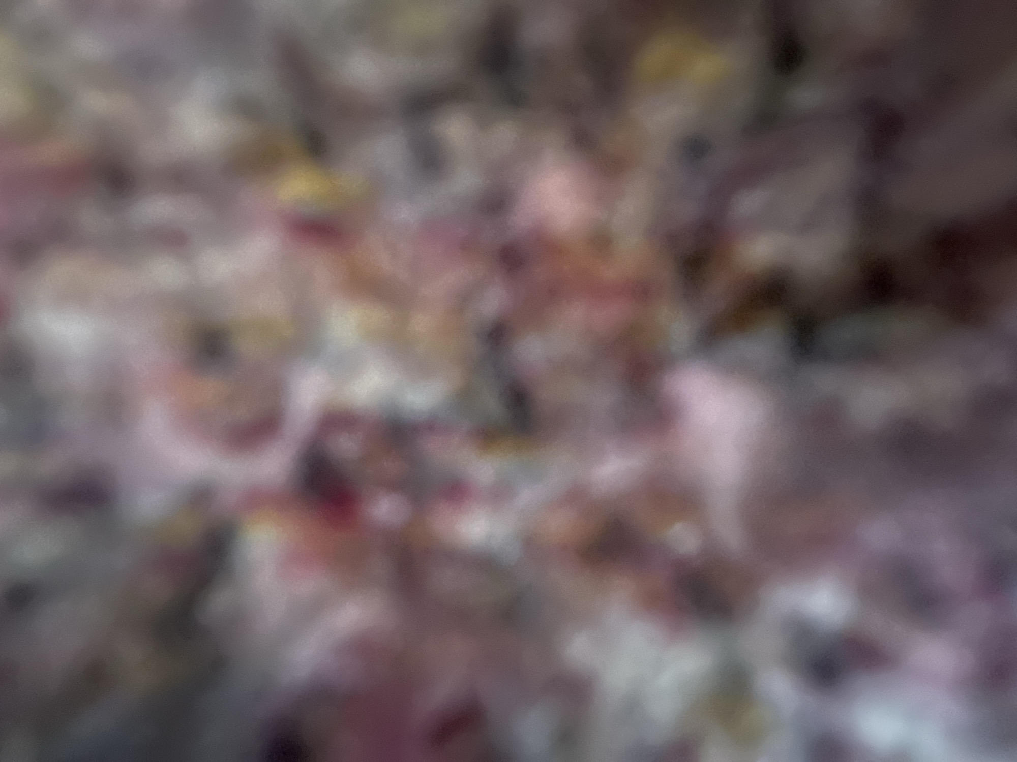 The image is a highly blurred, abstract representation of what appears to be a collection of objects, possibly flowers or fabric, with a variety of muted colors. Dominant hues include soft pinks, purples, grays, and some hints of yellow and red. The textures are indistinct, with soft, rounded shapes and a slightly grainy quality. There are no discernible figures, specific objects, or clear environmental details that would indicate a scene, setting, or event. The overall impression is one of a painterly or impressionistic effect, rather than a clear depiction of reality. There is no visible text.