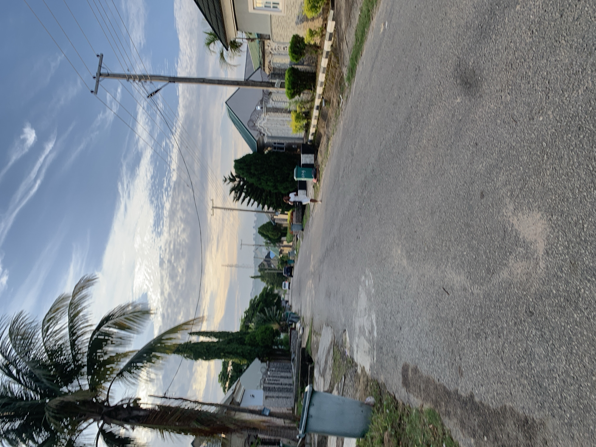 A straight, asphalt road stretches into the distance, flanked by residential houses and lush vegetation. A large palm tree stands prominently on the left, its fronds reaching towards a sky dotted with wispy clouds. On the right side of the road, a person in a white outfit walks away from the camera. Further down the road, a few cars are visible, suggesting a quiet residential area. Power lines crisscross overhead, supported by utility poles. The overall impression is that of a peaceful morning in a well-kept neighborhood in Abuja, Nigeria.