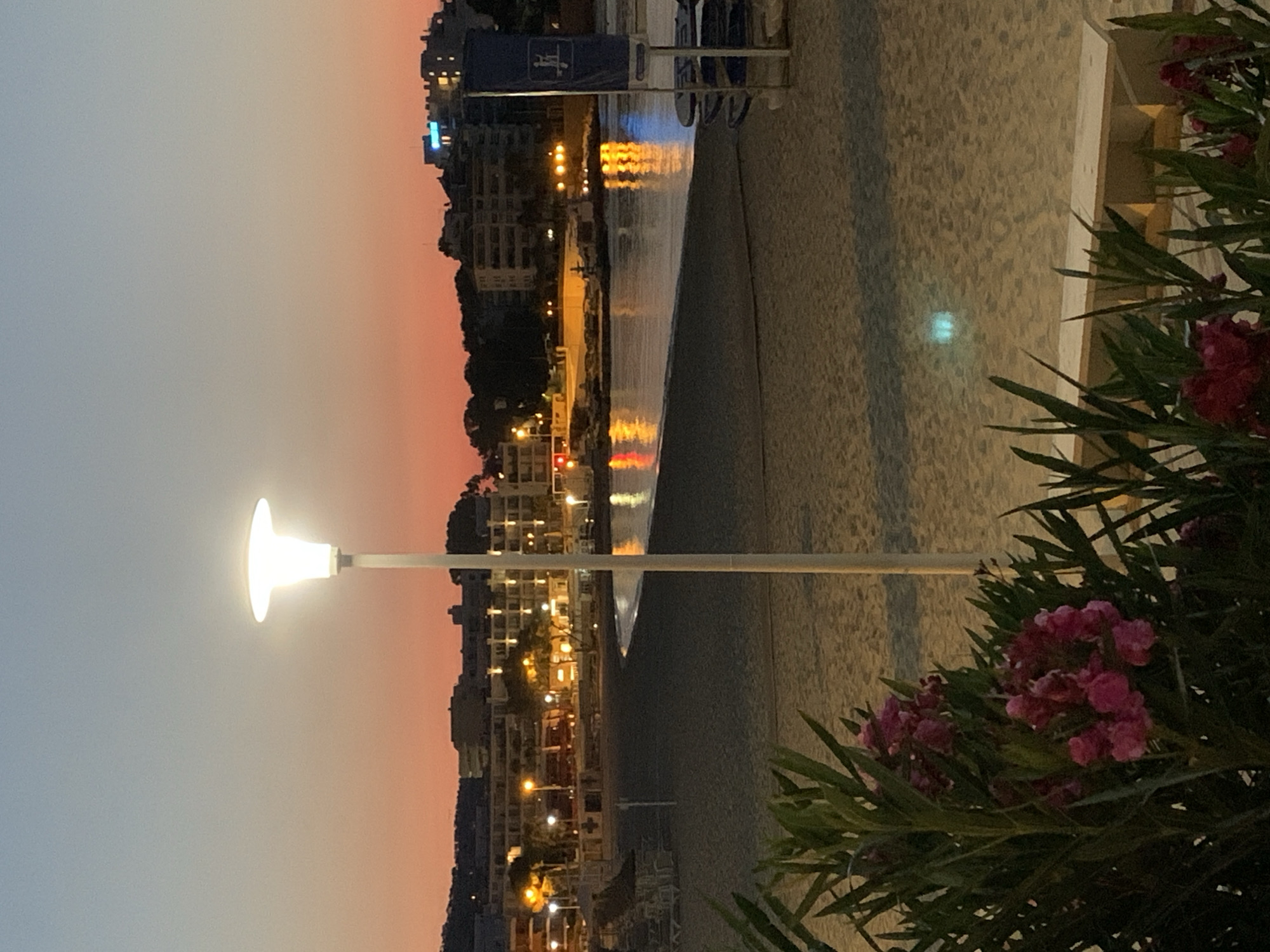 The image depicts a twilight scene on a beach in Palmanova, Spain. In the foreground, lush green foliage with pink flowers is visible, partially obscuring a sandy beach. A tall, modern lamppost with a brightly lit fixture stands prominently in the mid-ground, illuminating the sand. Beyond the beach, the calm sea reflects the warm hues of the sunset and the lights from buildings lining the coast. The background features a strip of urban development with multi-story buildings, some of which are lit up, suggesting a town or resort area. A dark, curved shoreline separates the sand from the water. The overall atmosphere is serene and tranquil, characteristic of an evening on a Mediterranean beach. There are no people clearly visible in the image.