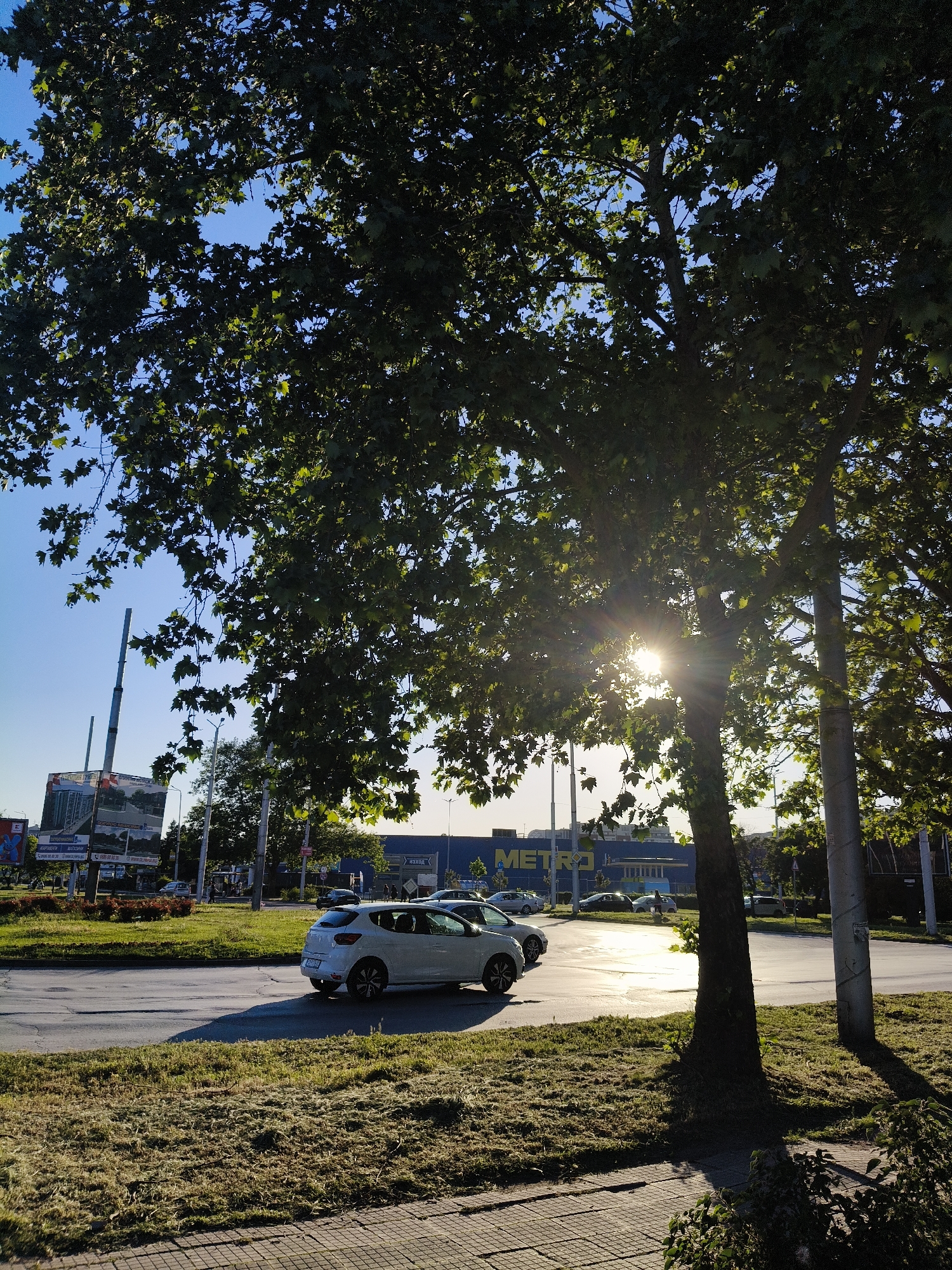The image captures a street scene in Plovdiv, Bulgaria, with a Metro store visible in the background. A white hatchback car is positioned on the left side of the frame, seemingly waiting at an intersection. Other vehicles are also visible in the distance. A large tree dominates the foreground, partially obscuring the scene with its dense foliage and casting shadows on the road and sidewalk. The sun shines through the leaves, creating a bright glare. A grassy area with freshly cut grass is present along the sidewalk. The lighting suggests it is daytime. A billboard is visible in the background, adding to the urban environment.