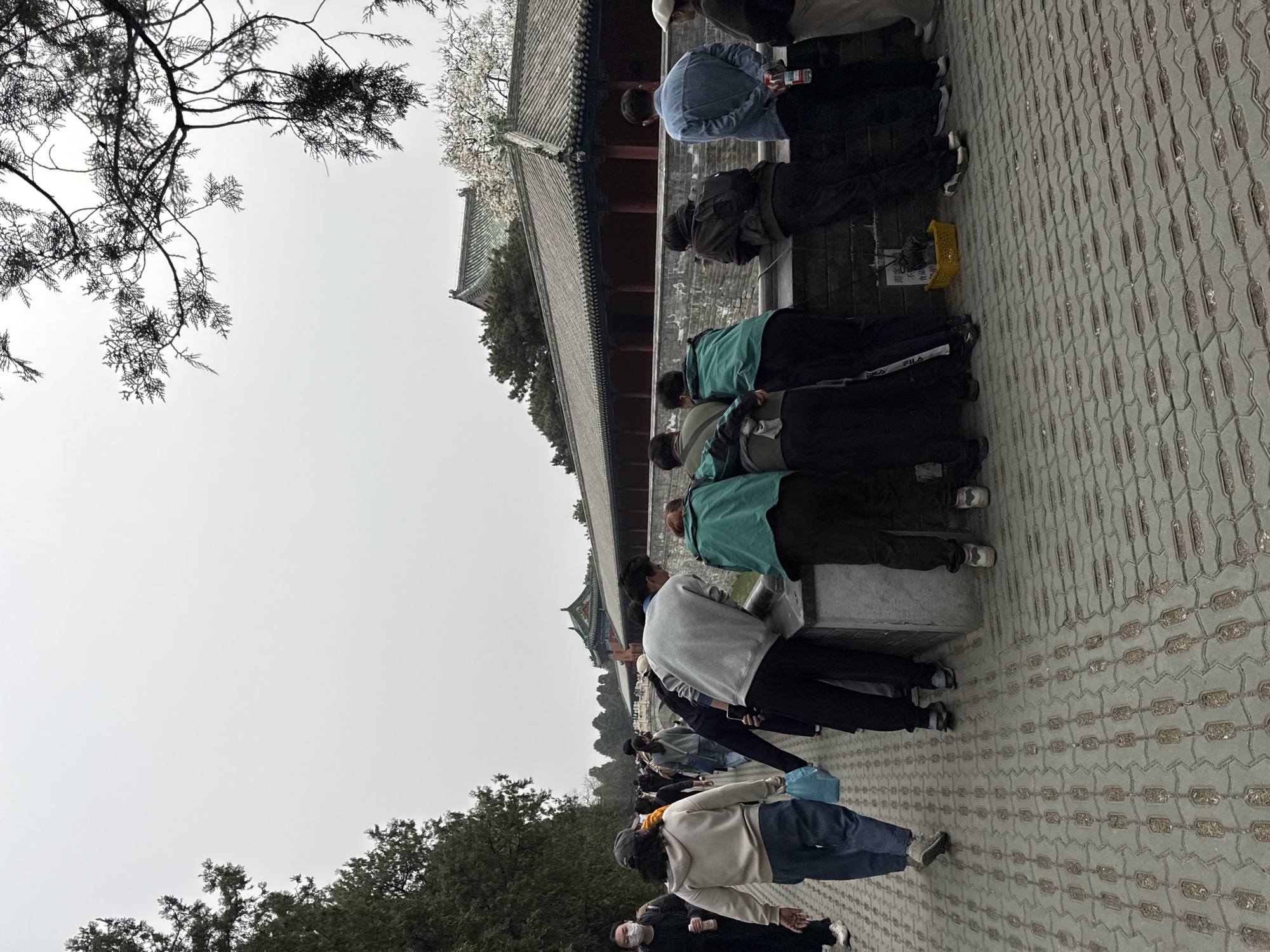 The scene depicts an overcast outdoor day within a traditional Chinese architectural complex, likely the Temple of Heaven in Dongcheng District, Beijing, China. A grey interlocking patterned brick walkway occupies the foreground and midground. To the left, dense, dark green trees line the path. To the right, a low grey stone wall with a darker cap separates the walkway from an unseen lower area.
Approximately 20-30 individuals, predominantly adults in casual attire, populate the scene. Seven people are actively leaning over the stone wall on the right, looking downwards, with their backs mostly to the viewer. One individual in a grey hoodie holds a light blue plastic bag while walking away from the wall. Another individual in a blue denim jacket stands with their hands clasped behind their back, holding a red and white bottle. A person in a dark jacket is using a smartphone while also leaning on the wall. On the far left, a person wearing a white face mask walks away.
In the background, traditional Chinese buildings with dark green tiled roofs, red pillars, and grey walls are visible. One prominent building features a multi-tiered, pagoda-like green tiled roof. A tree with white blossoms stands behind one of these structures. Overhanging dark tree branches are visible against the pale sky in the upper right. Near the base of the stone wall, to the right, a yellow plastic basket on the ground contains a dark-colored cat and a white sign with Chinese characters, which translates to "Tourists please do not feed food."
